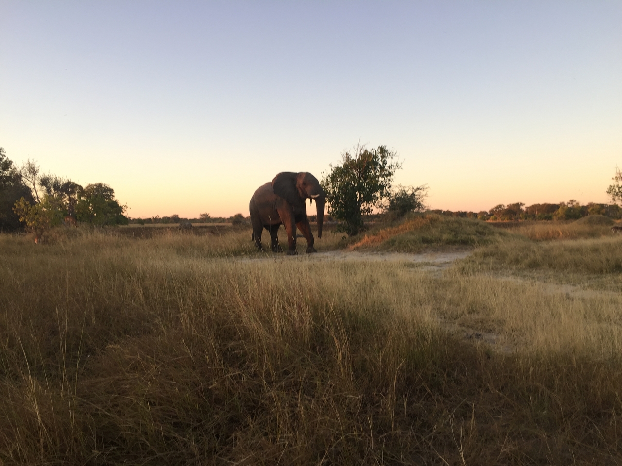 [20427] 2016_06_28_17_51_51_Africa_iPhone_6_IMG_8540_01071.jpg