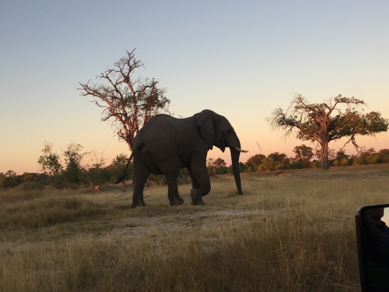 [20436] 2016_06_28_17_52_54_Africa_iPhone_6_IMG_8543_01074.jpg