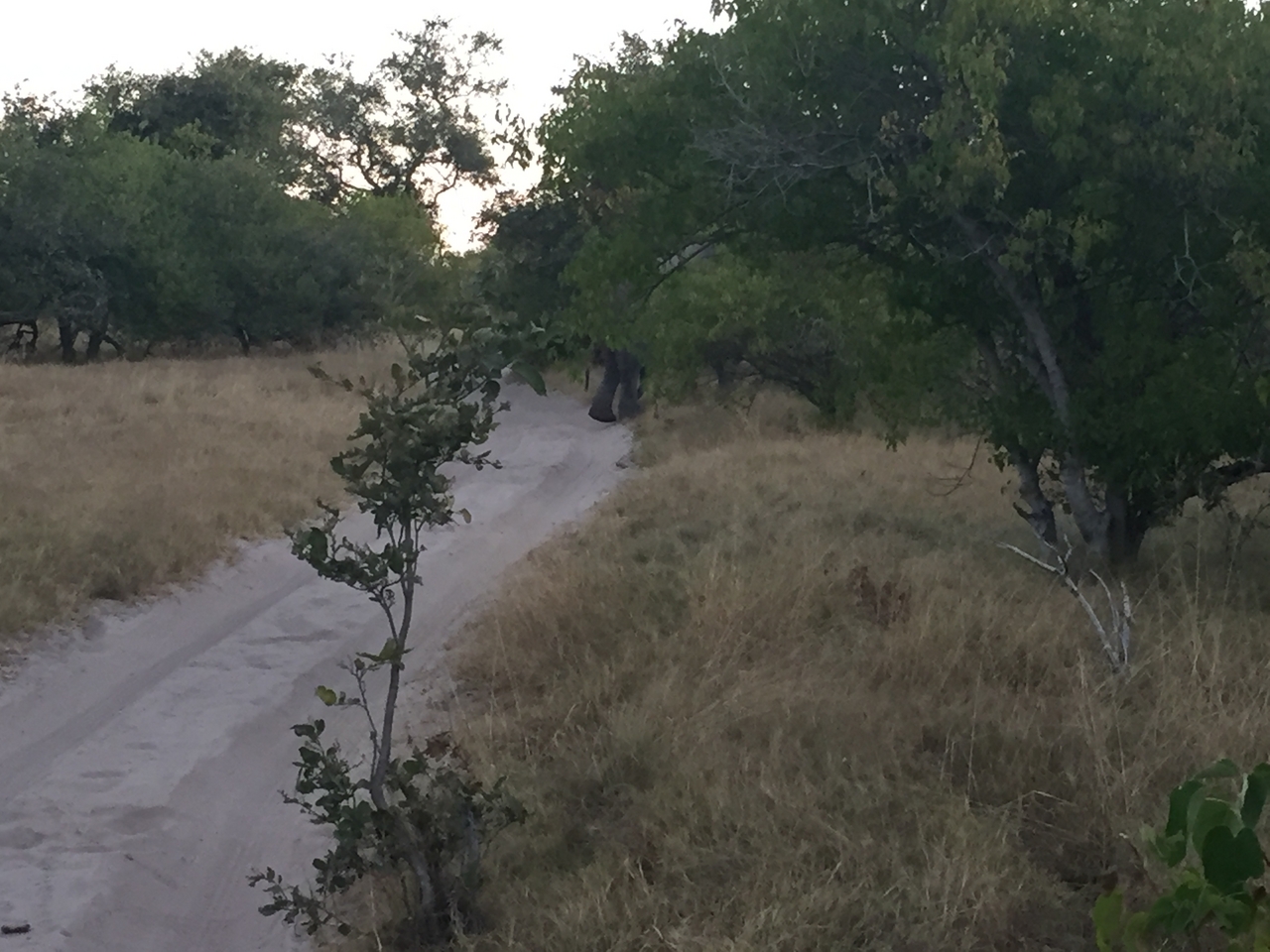 [20447] 2016_06_28_18_00_49_Africa_iPhone_6_IMG_8546_01077.jpg