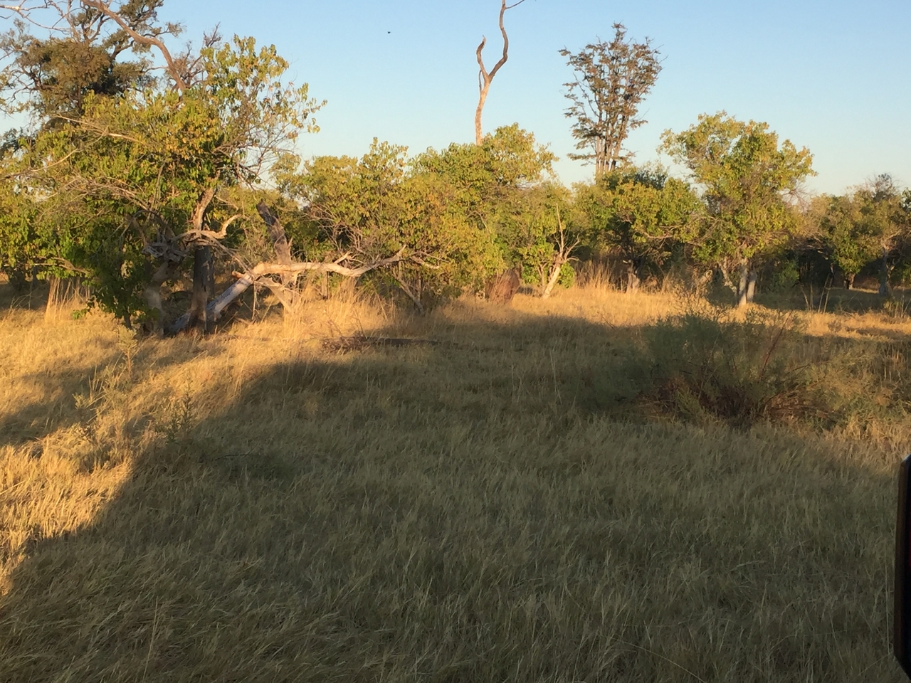 [21306] 2016_06_29_07_30_50_Africa_iPhone_6_IMG_8552_00501.jpg