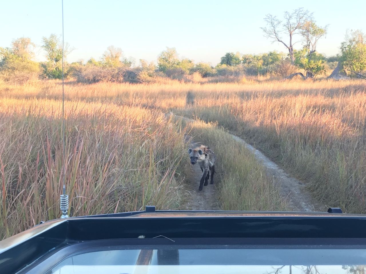 [22215] 2016_06_29_17_41_08_Africa_iPhone_6_IMG_8561_00507.jpg