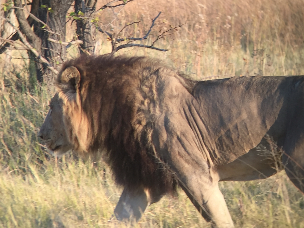 [24642] 2016_06_30_07_37_59_Africa_iPhone_6_IMG_8581_00526.jpg