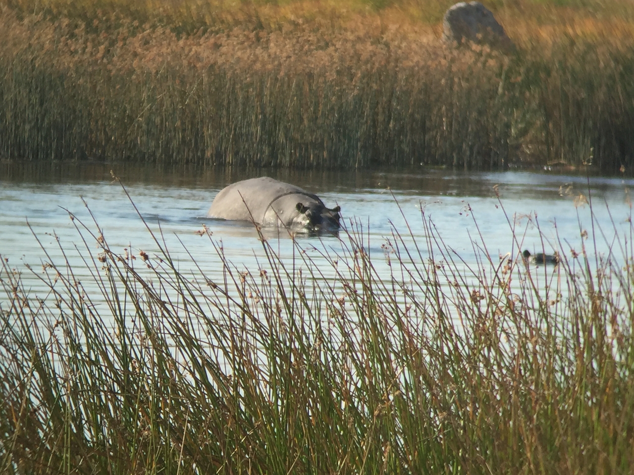 [25792] 2016_06_30_15_18_08_Africa_iPhone_6_IMG_8593_00535.jpg