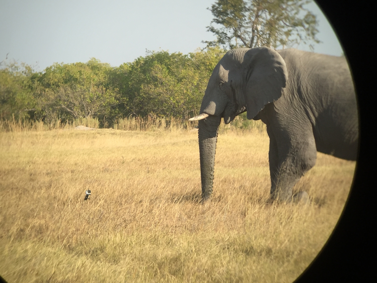 [26358] 2016_06_30_16_09_49_Africa_iPhone_6_IMG_8601_01124.jpg