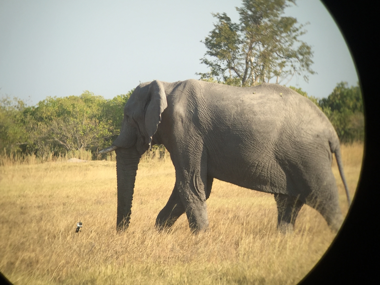 [26365] 2016_06_30_16_09_51_Africa_iPhone_6_IMG_8602_03466.jpg