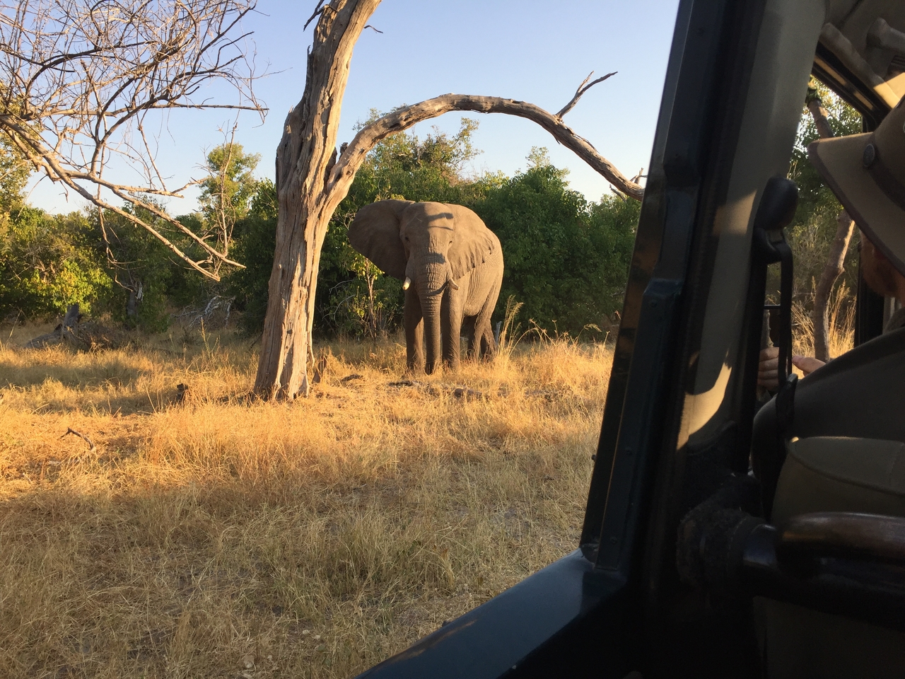 [26628] 2016_06_30_17_01_17_Africa_iPhone_6_IMG_8611_00551.jpg