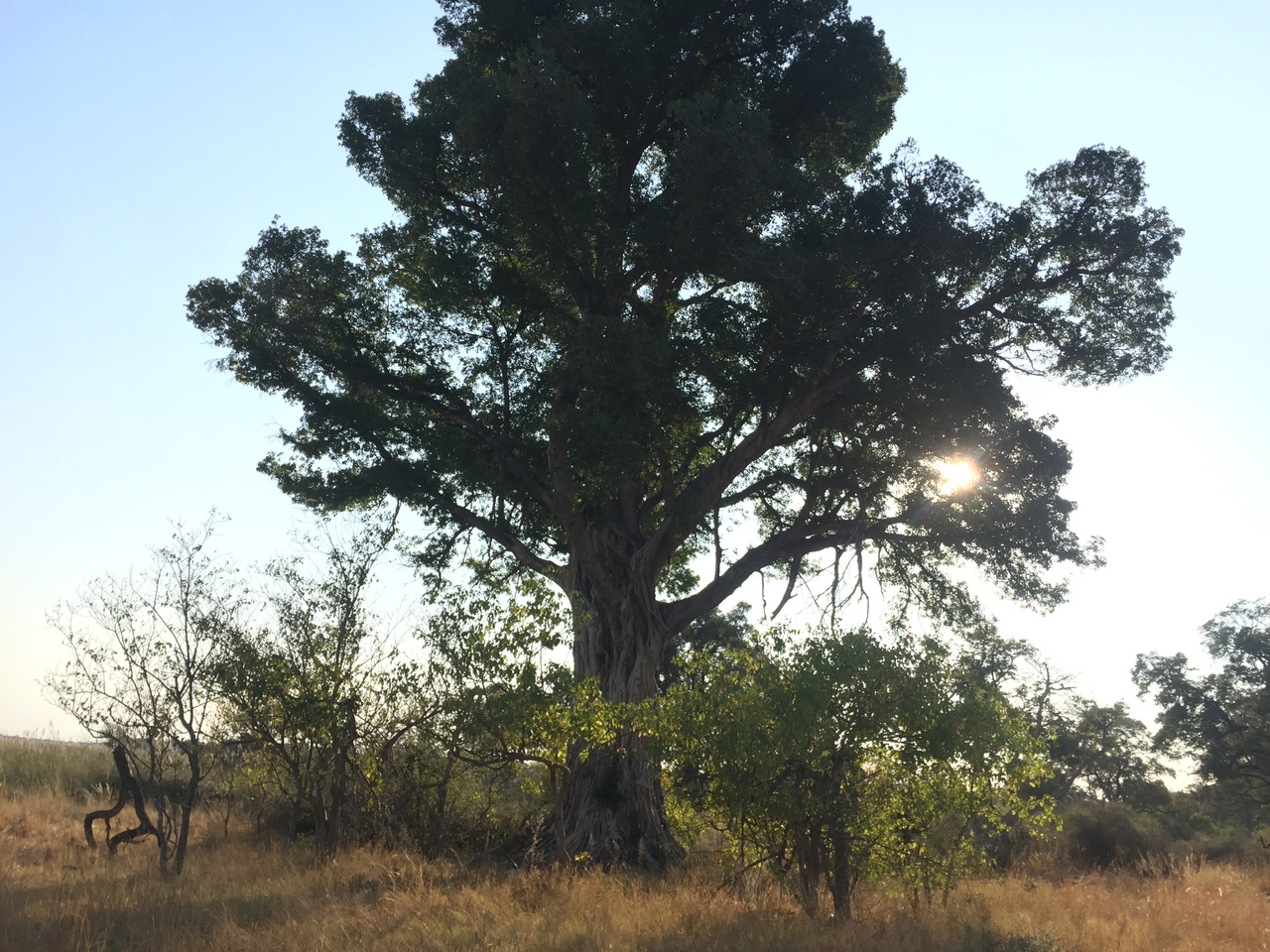 [26914] 2016_07_01_08_25_43_Africa_iPhone_6_IMG_8631_00568.jpg