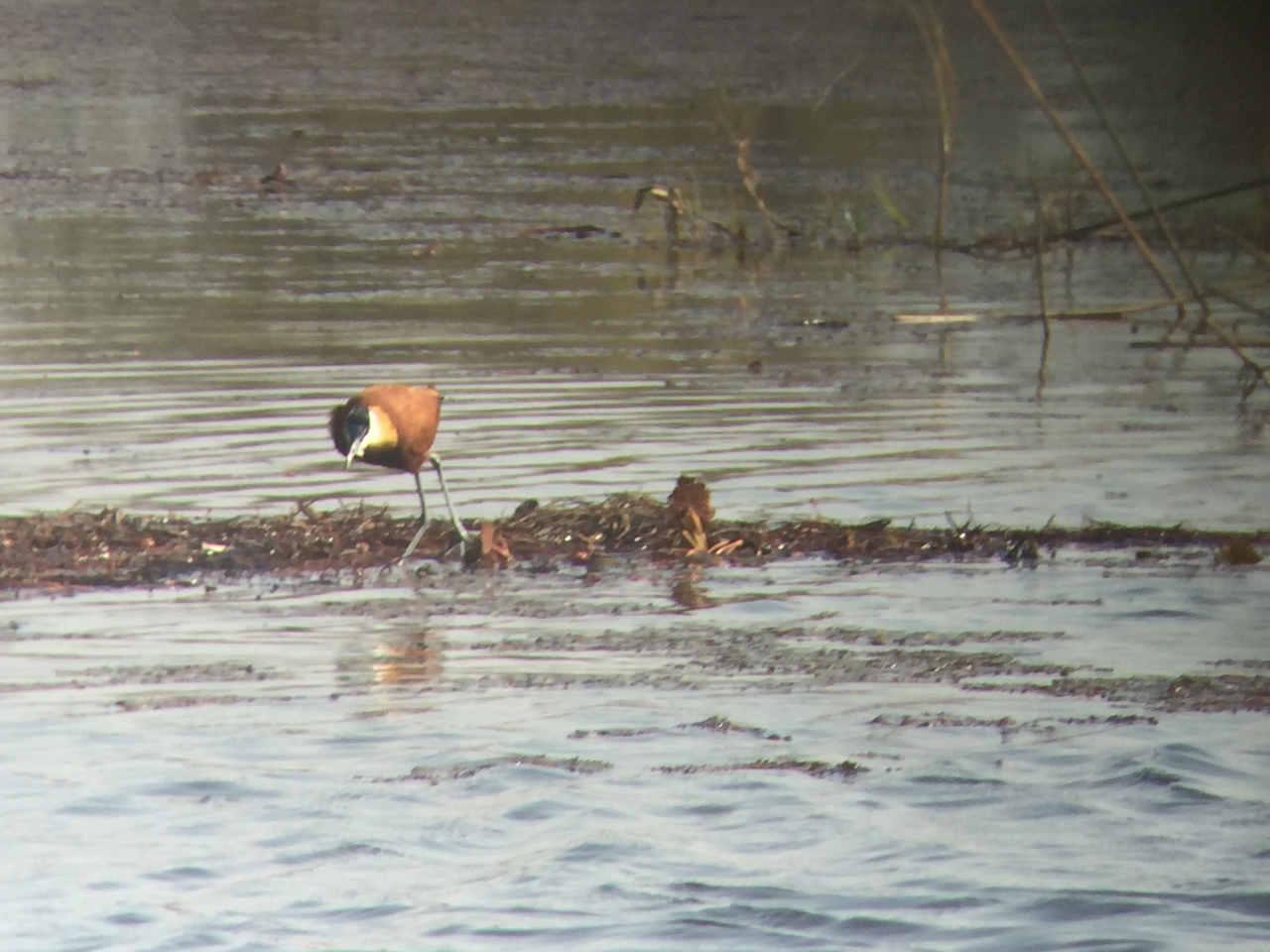 [26943] 2016_07_01_10_12_12_Africa_iPhone_6_IMG_8636_03494.jpg