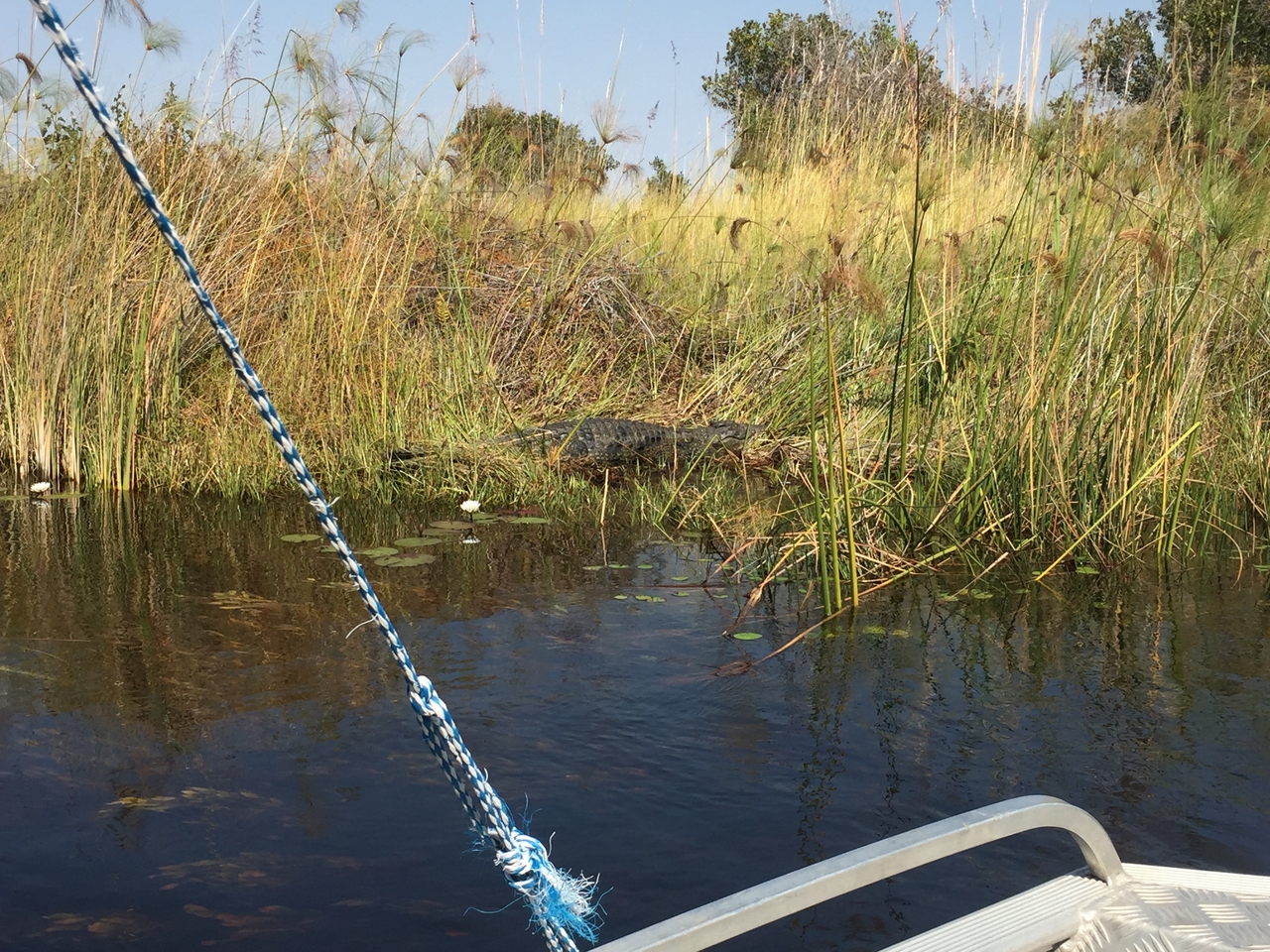 [27009] 2016_07_01_11_55_01_Africa_iPhone_6_IMG_8640_03498.jpg