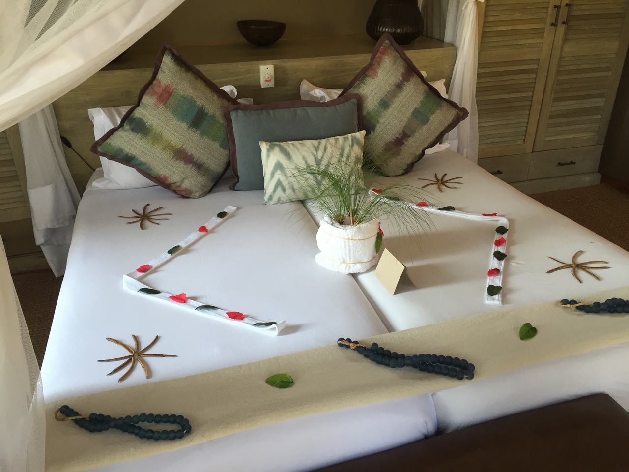 [27042] 2016_07_01_13_57_21_Africa_iPhone_6_IMG_8646_03504.jpg