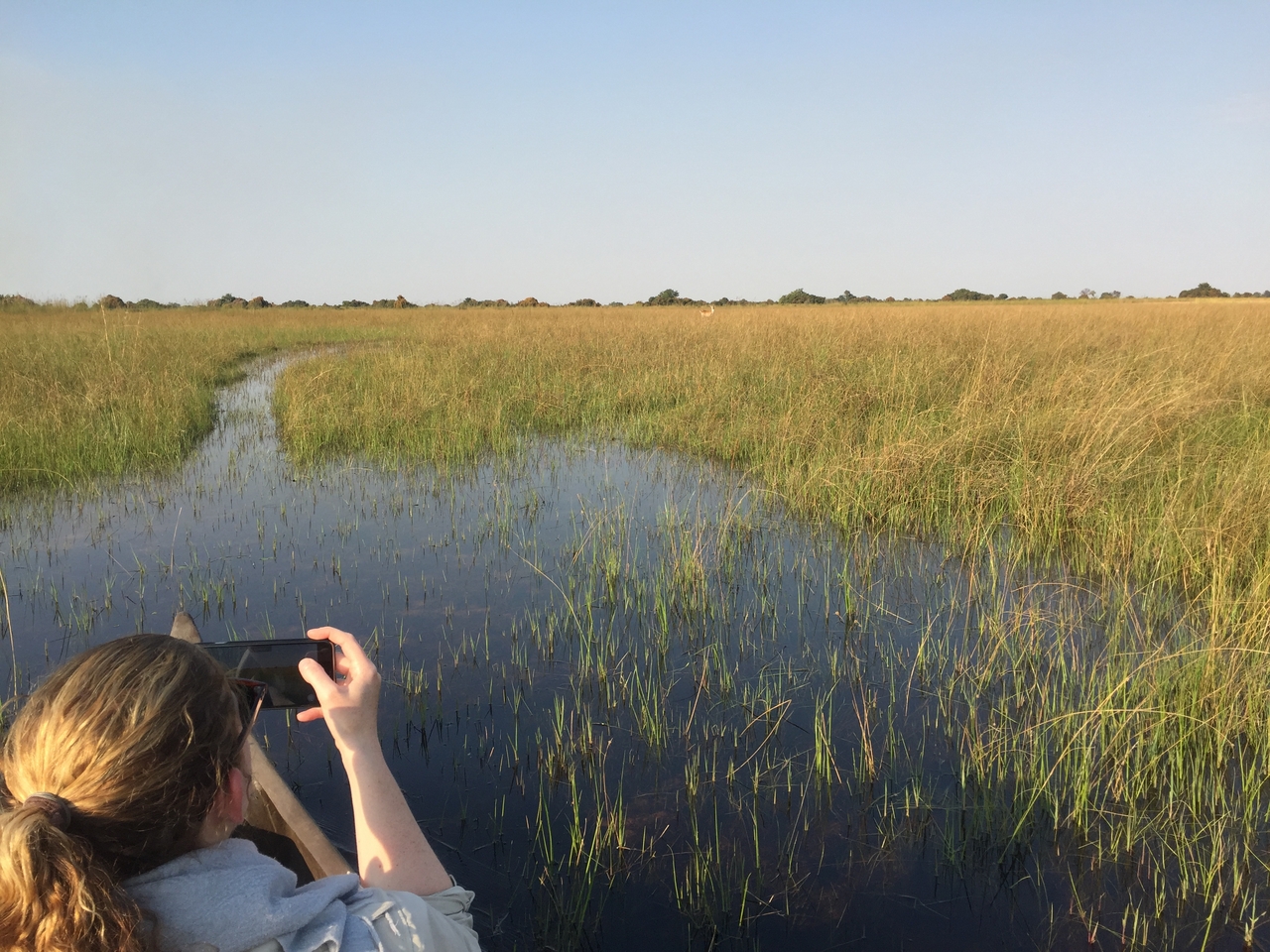 [27234] 2016_07_01_16_08_30_Africa_iPhone_6_IMG_8663_01180.jpg