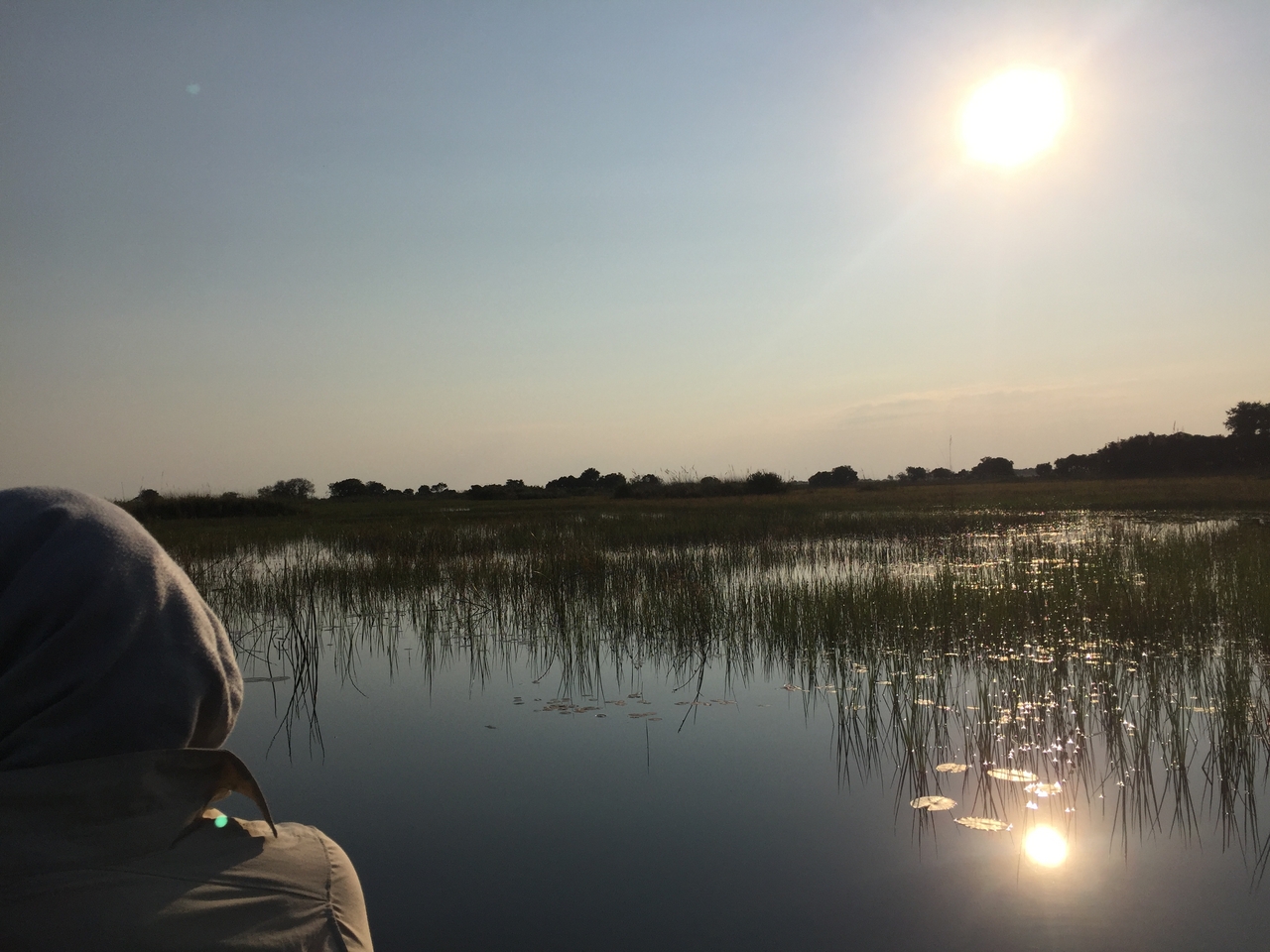 [27264] 2016_07_01_16_34_21_Africa_iPhone_6_IMG_8669_01186.jpg