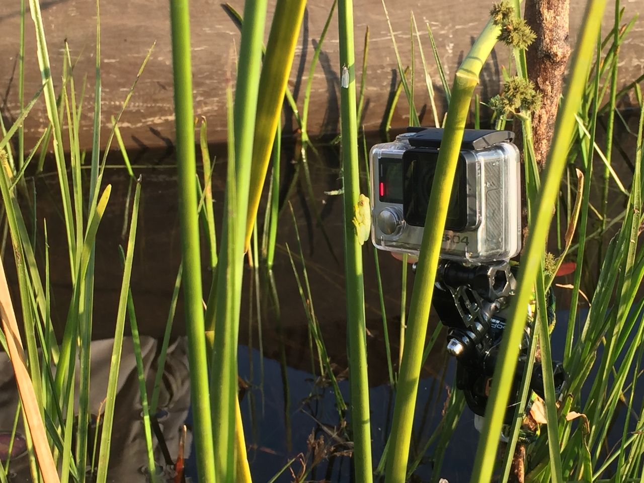 [27275] 2016_07_01_16_36_22_Africa_iPhone_6_IMG_8671_00606.jpg