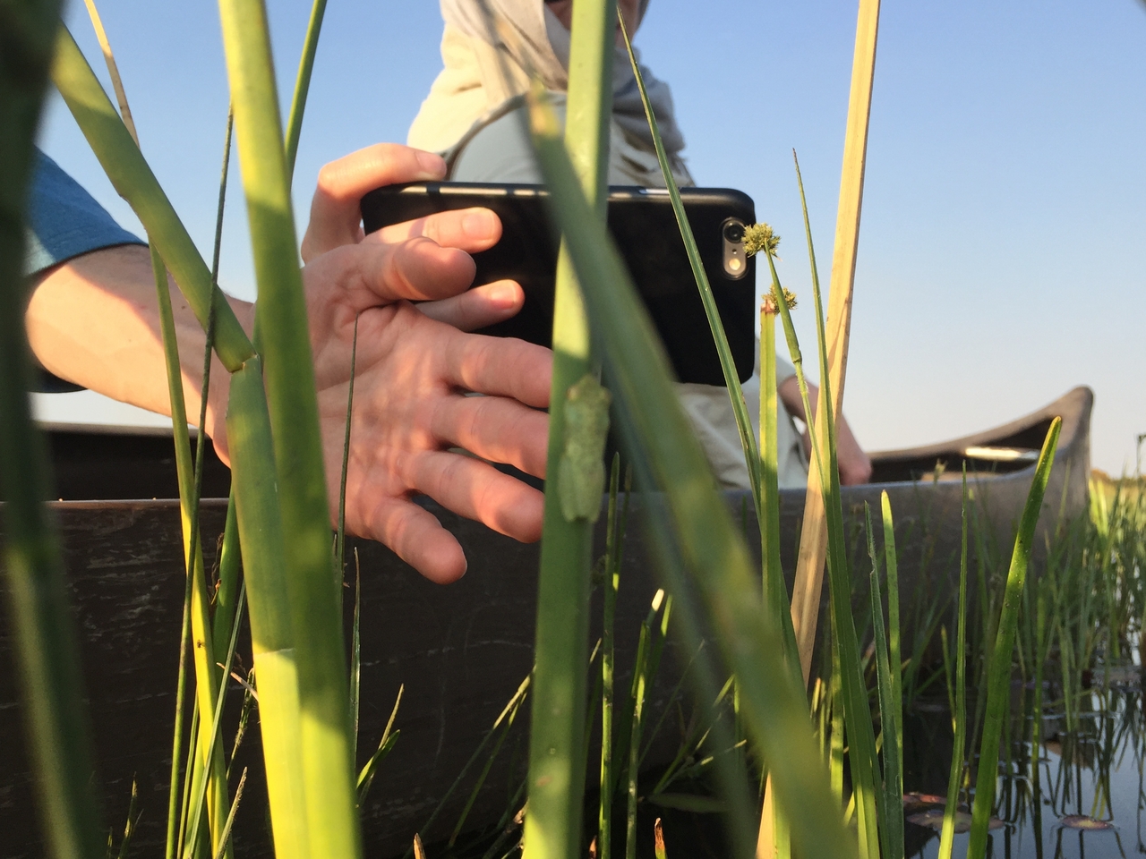 [27280] 2016_07_01_16_37_13_Africa_iPhone_6_IMG_8672_03530.jpg