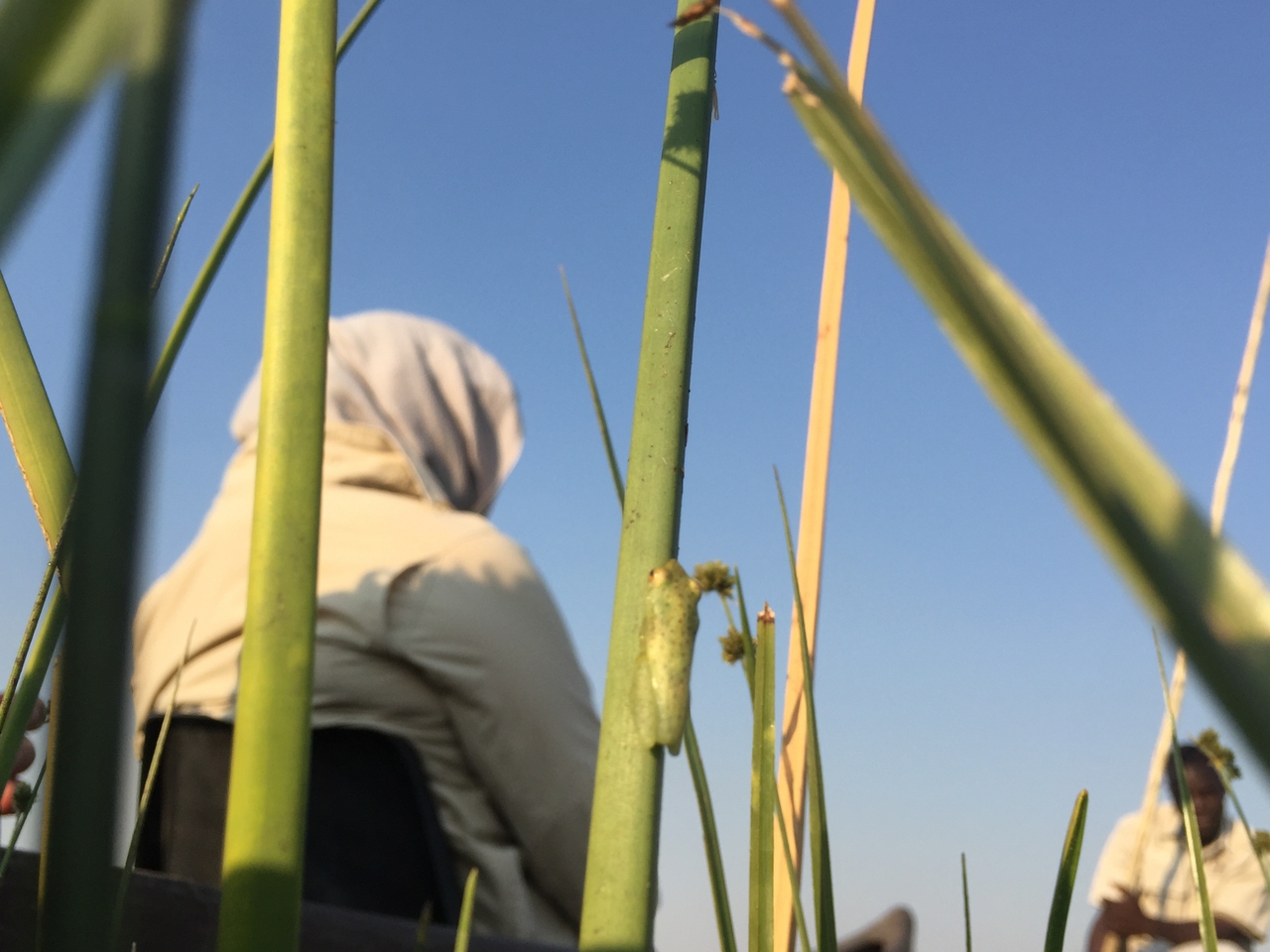 [27287] 2016_07_01_16_37_19_Africa_iPhone_6_IMG_8675_00610.jpg