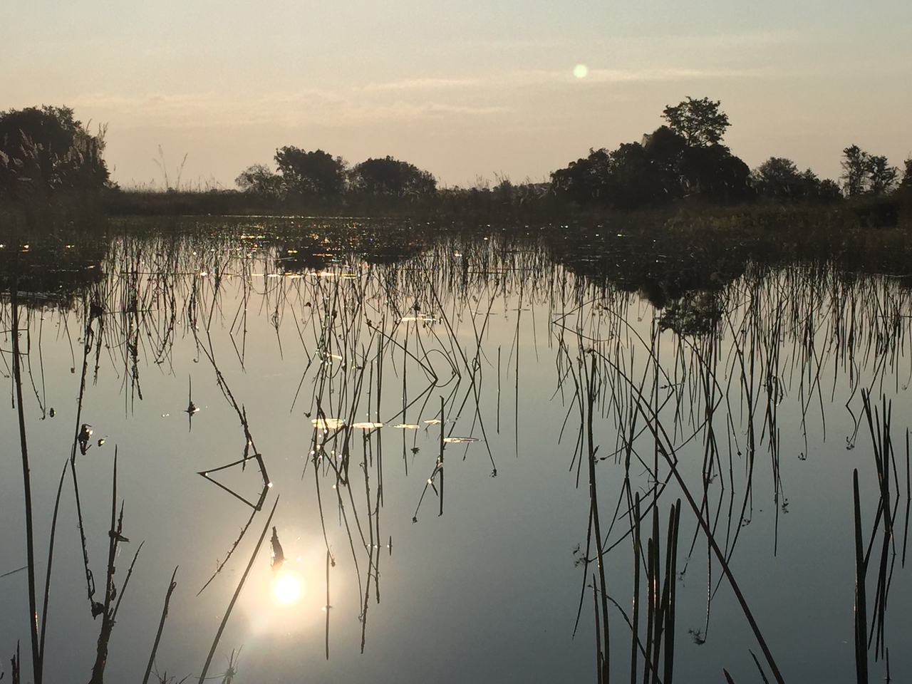 [27351] 2016_07_01_16_48_04_Africa_iPhone_6_IMG_8691_01206.jpg