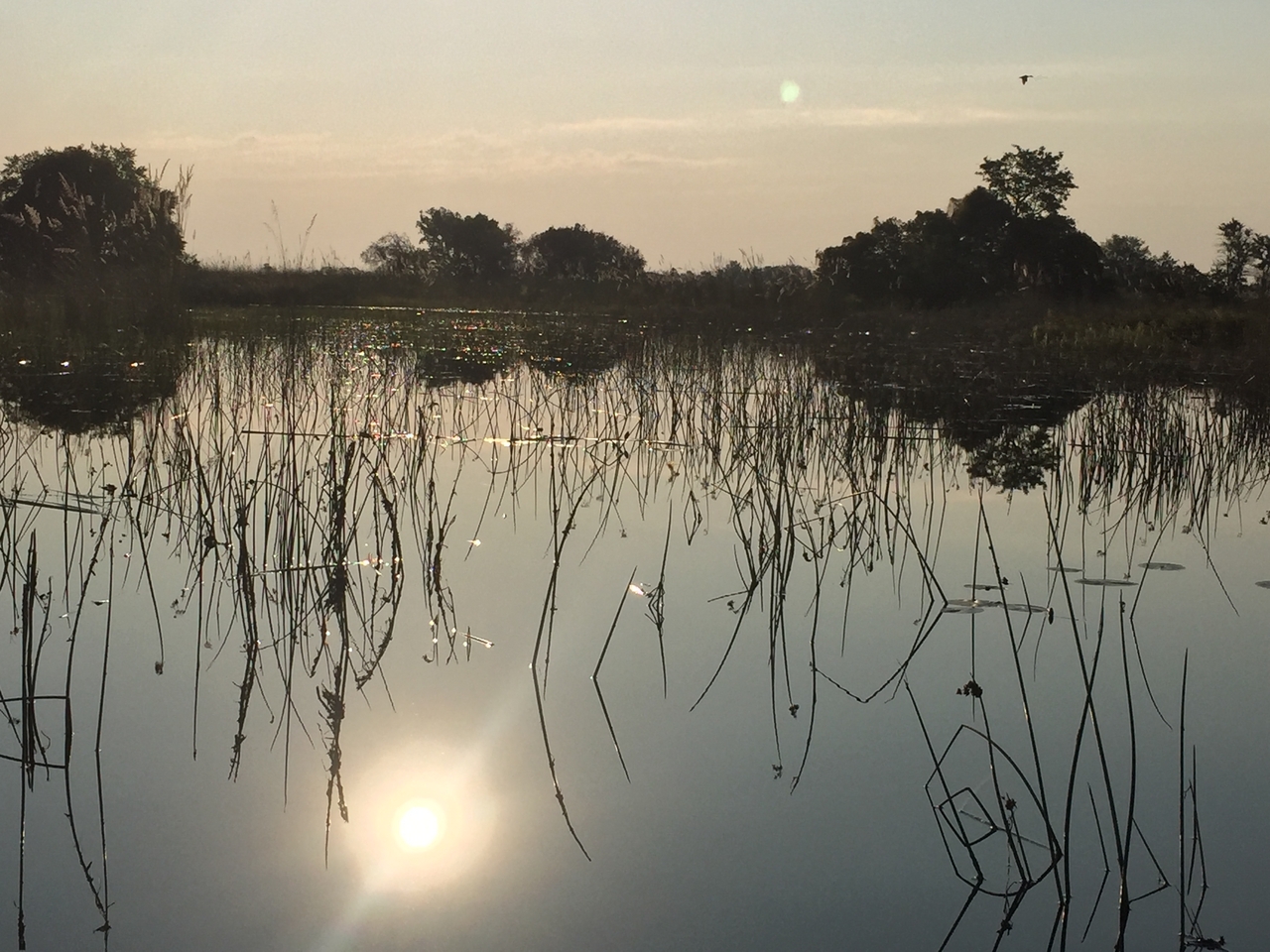 [27354] 2016_07_01_16_48_11_Africa_iPhone_6_IMG_8692_01207.jpg