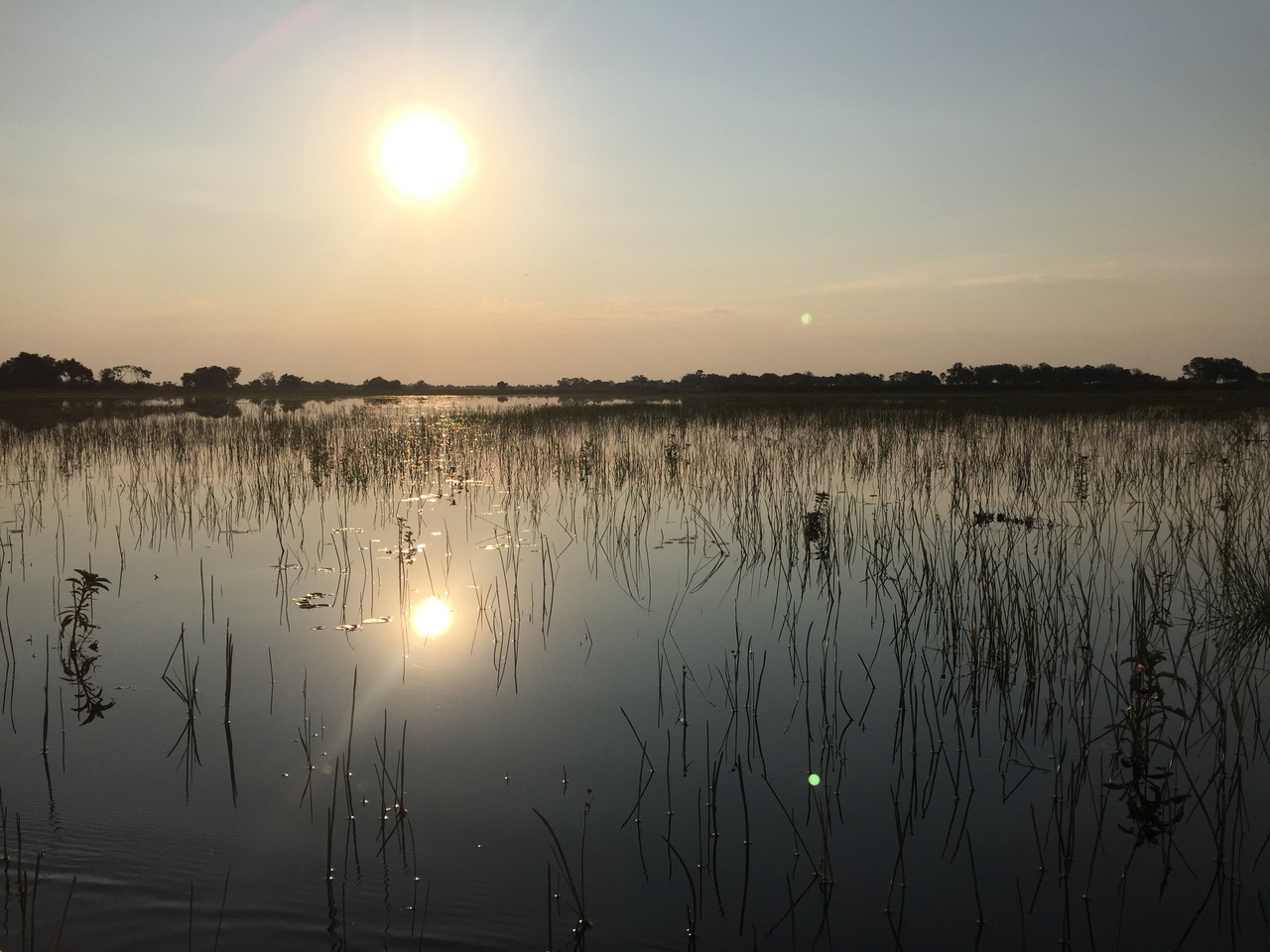 [27370] 2016_07_01_17_02_21_Africa_iPhone_6_IMG_8696_03551.jpg