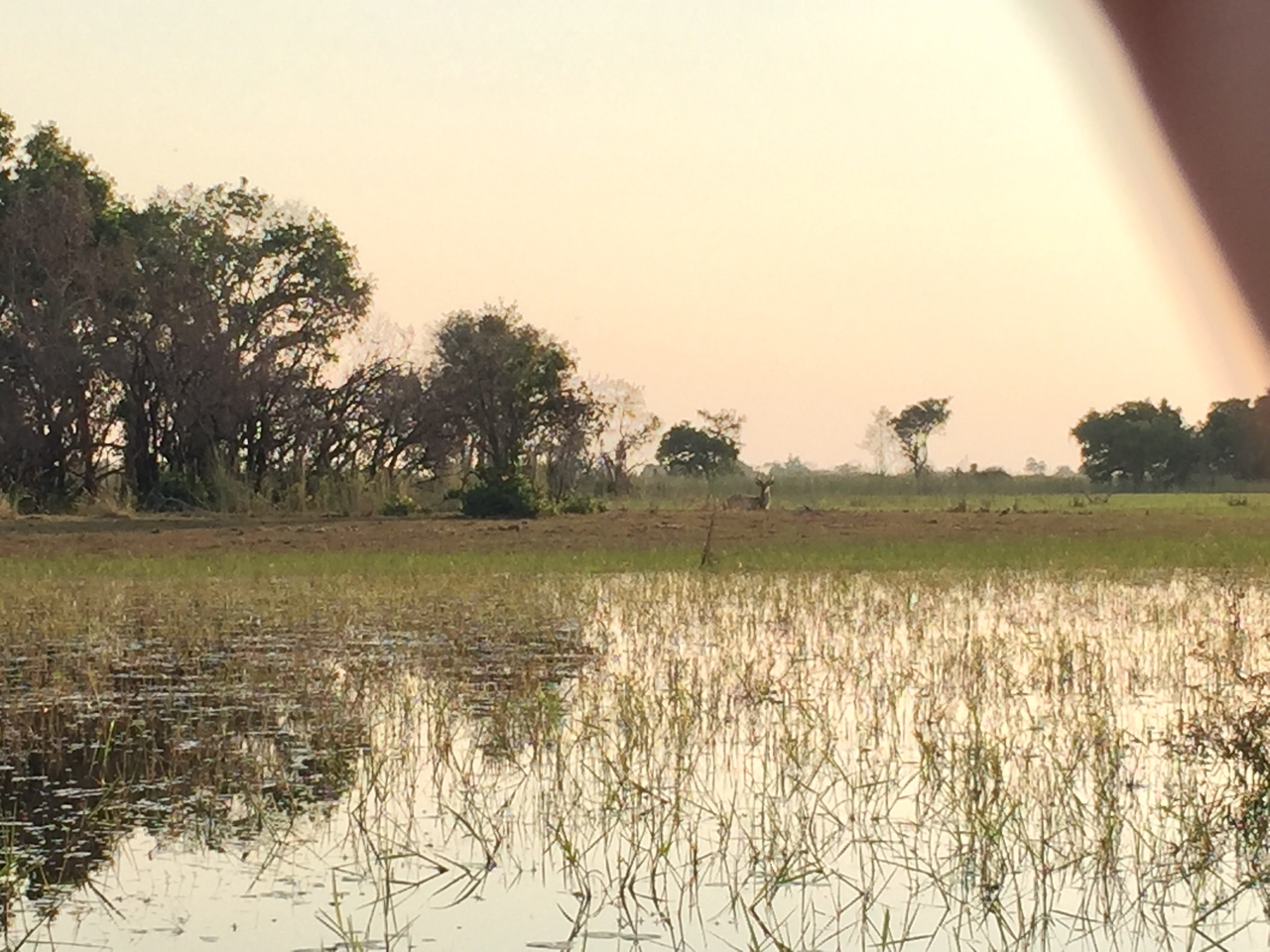 [27374] 2016_07_01_17_08_42_Africa_iPhone_6_IMG_8699_00629.jpg