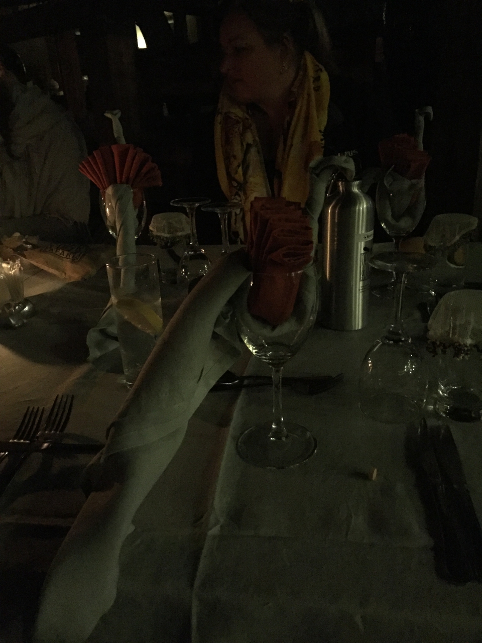 [27463] 2016_07_01_19_34_12_Africa_iPhone_6_IMG_8715_03563.jpg