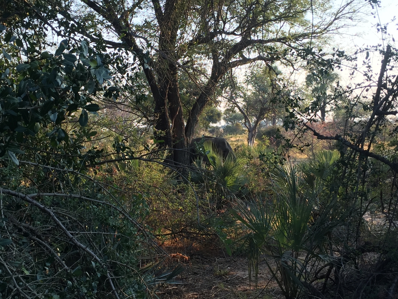 [27879] 2016_07_02_08_05_19_Africa_iPhone_6_IMG_8716_00641.jpg