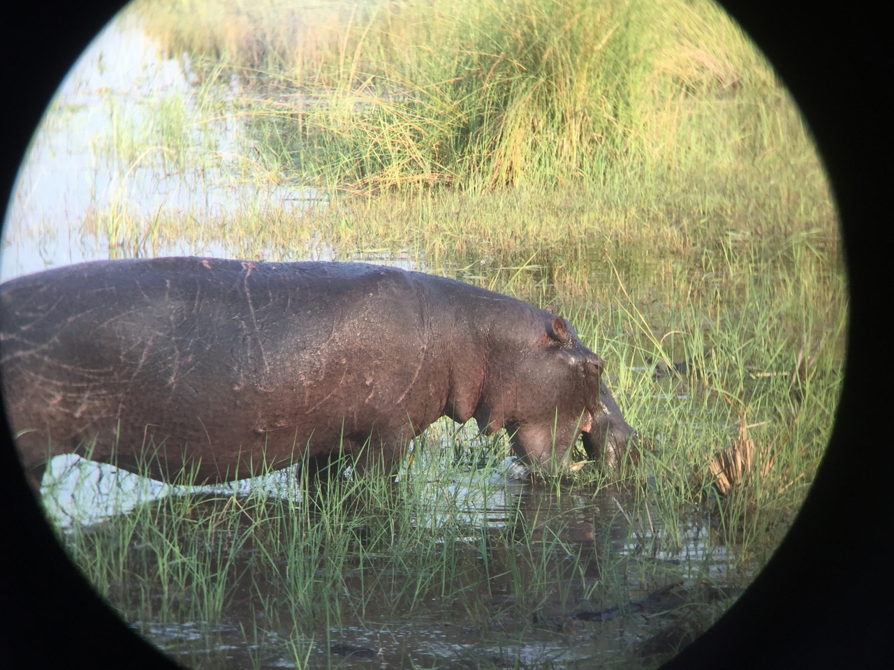 [27928] 2016_07_02_08_41_36_Africa_iPhone_6_IMG_8722_01228.jpg