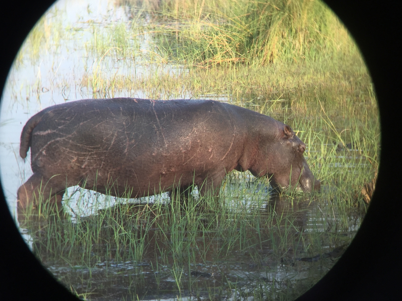 [27932] 2016_07_02_08_41_40_Africa_iPhone_6_IMG_8723_03570.jpg