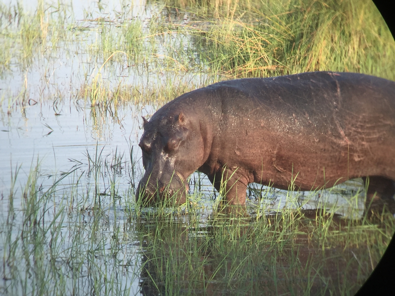 [27962] 2016_07_02_08_44_53_Africa_iPhone_6_IMG_8732_03579.jpg