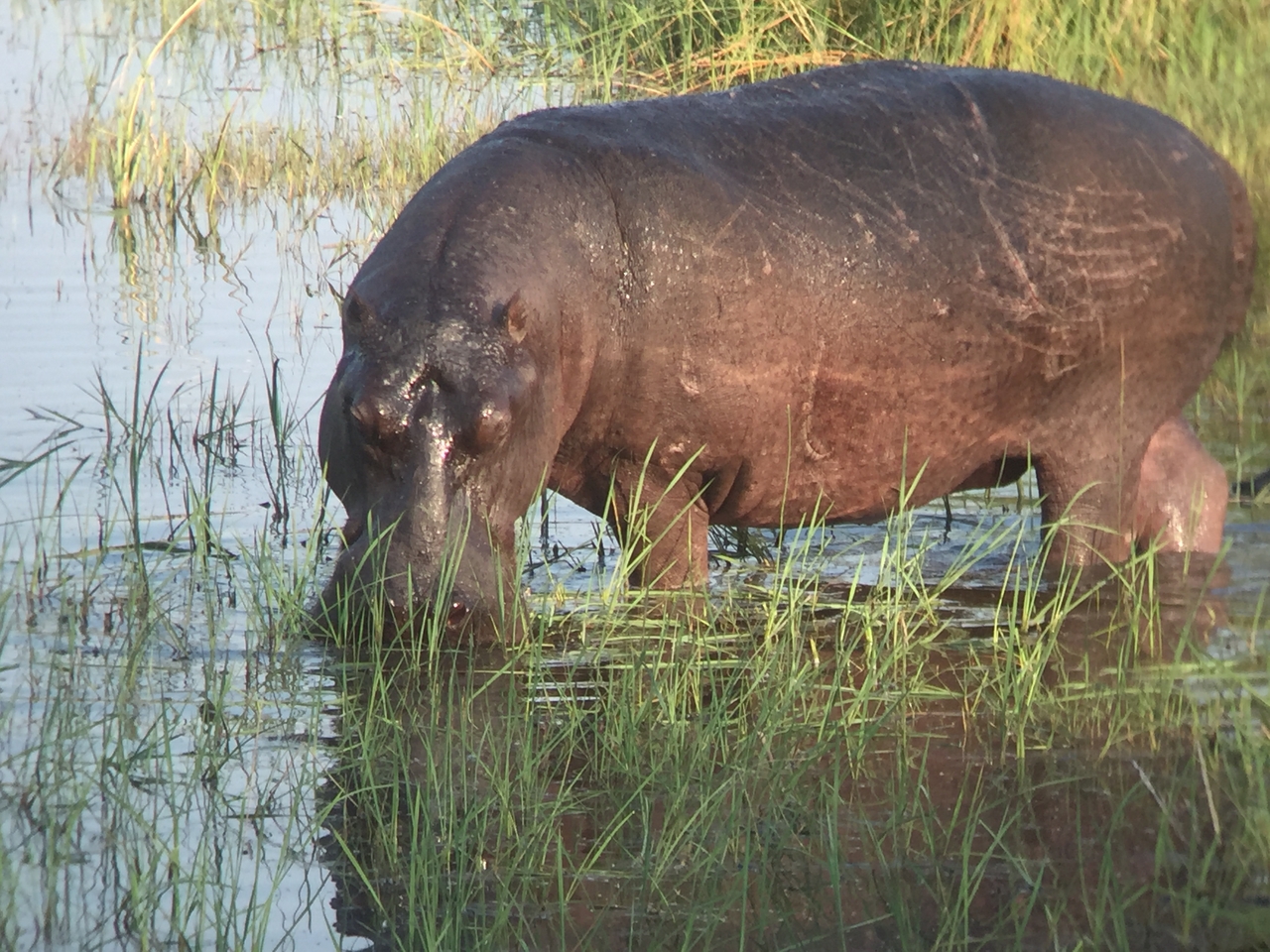 [27968] 2016_07_02_08_44_57_Africa_iPhone_6_IMG_8734_03581.jpg