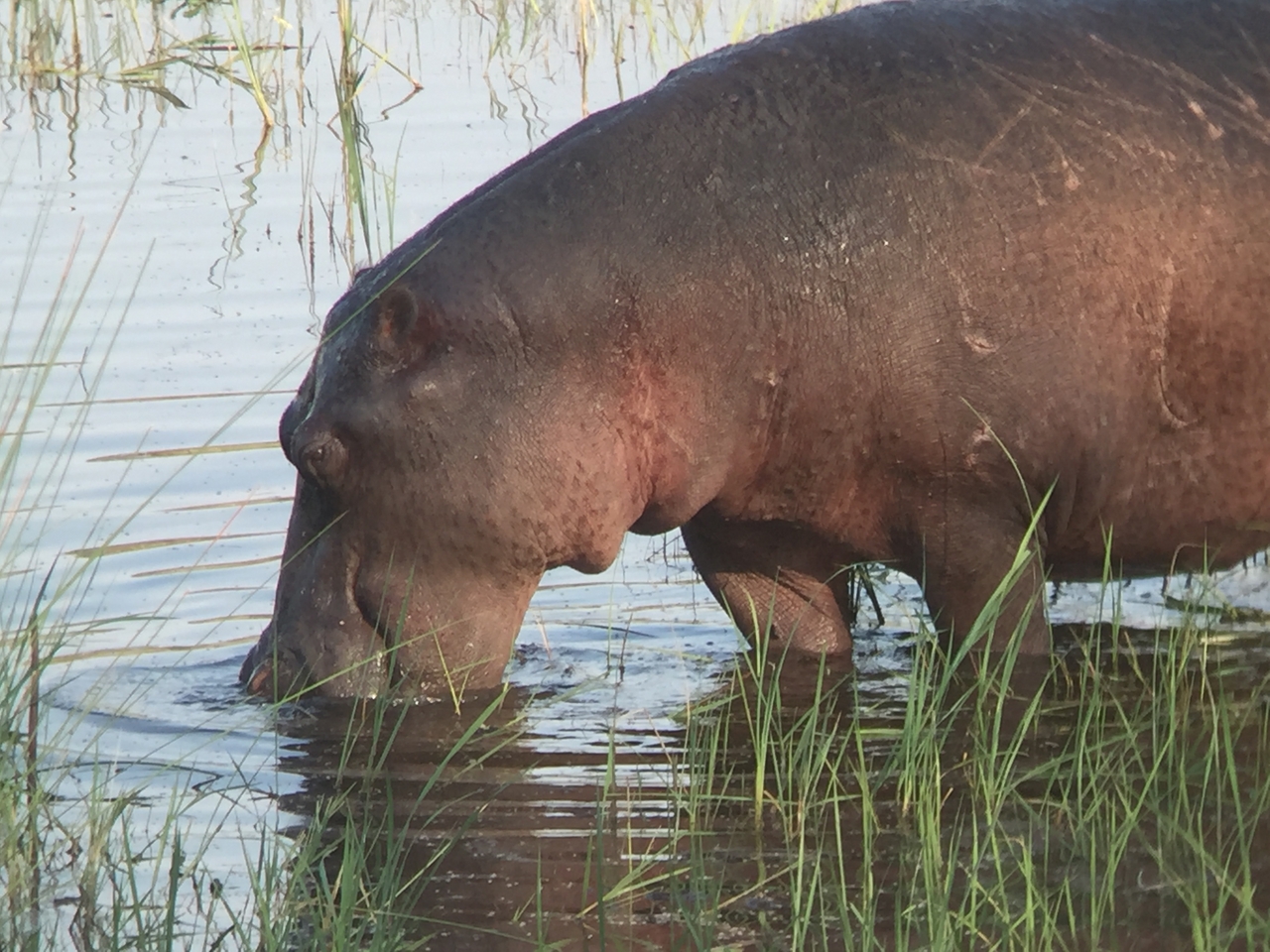 [27991] 2016_07_02_08_45_27_Africa_iPhone_6_IMG_8742_01248.jpg