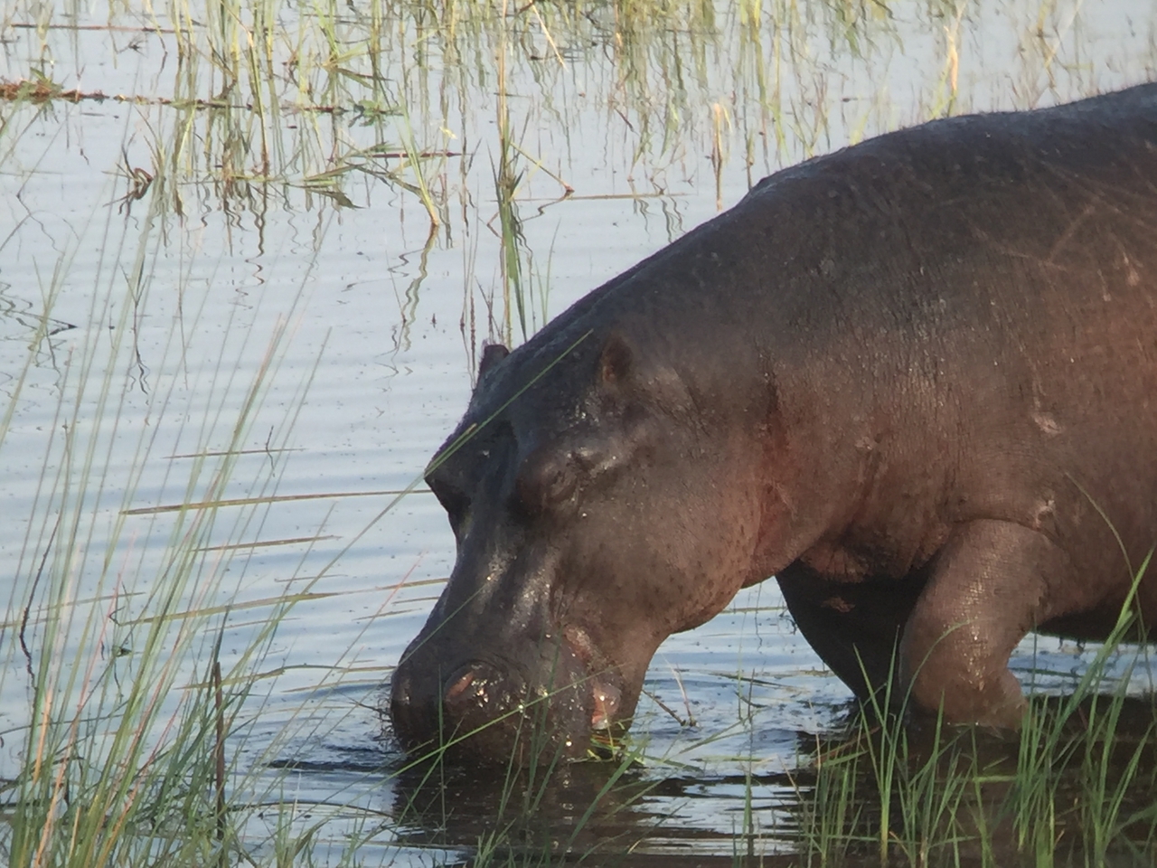 [27993] 2016_07_02_08_45_28_Africa_iPhone_6_IMG_8743_00667.jpg