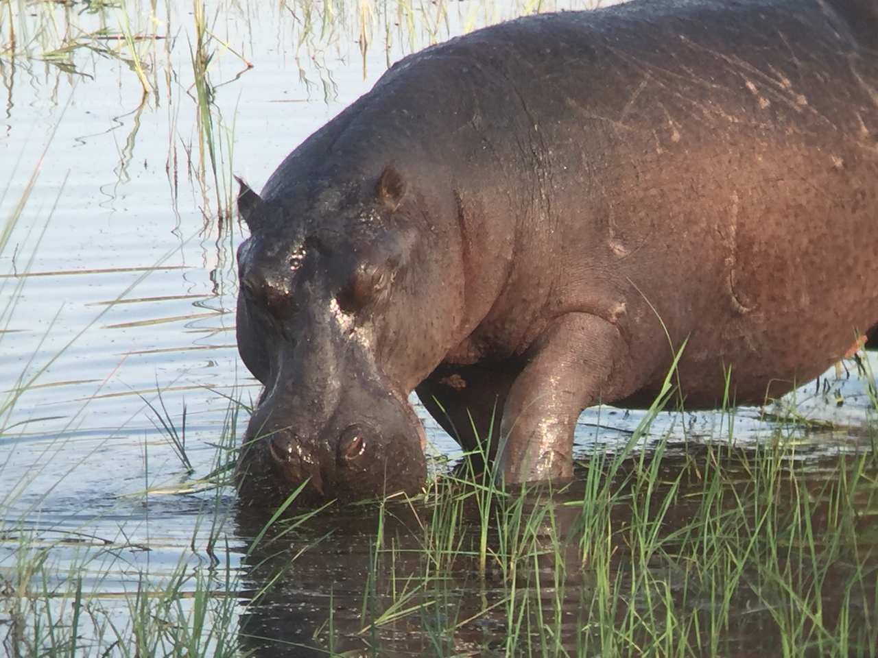 [27996] 2016_07_02_08_45_28_Africa_iPhone_6_IMG_8744_00668.jpg