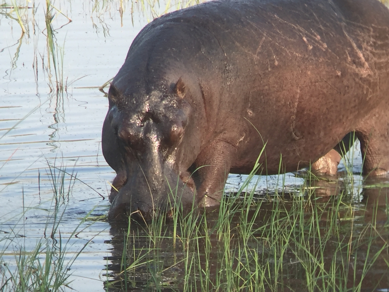 [28001] 2016_07_02_08_45_29_Africa_iPhone_6_IMG_8745_03592.jpg