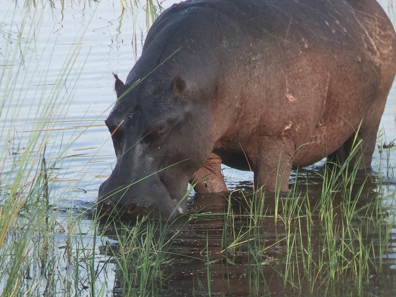 [28003] 2016_07_02_08_45_34_Africa_iPhone_6_IMG_8746_01252.jpg