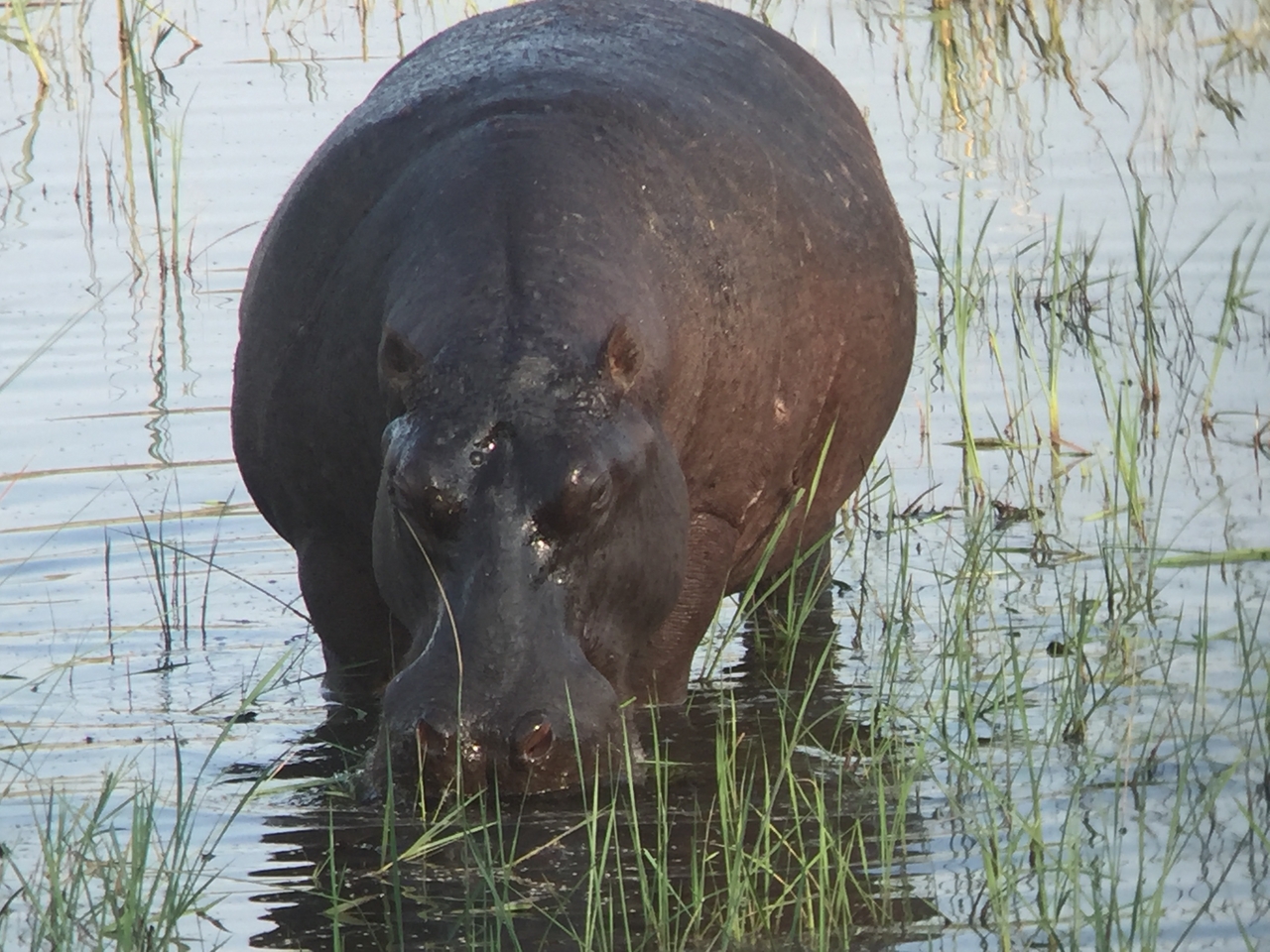 [28013] 2016_07_02_08_45_40_Africa_iPhone_6_IMG_8749_03596.jpg