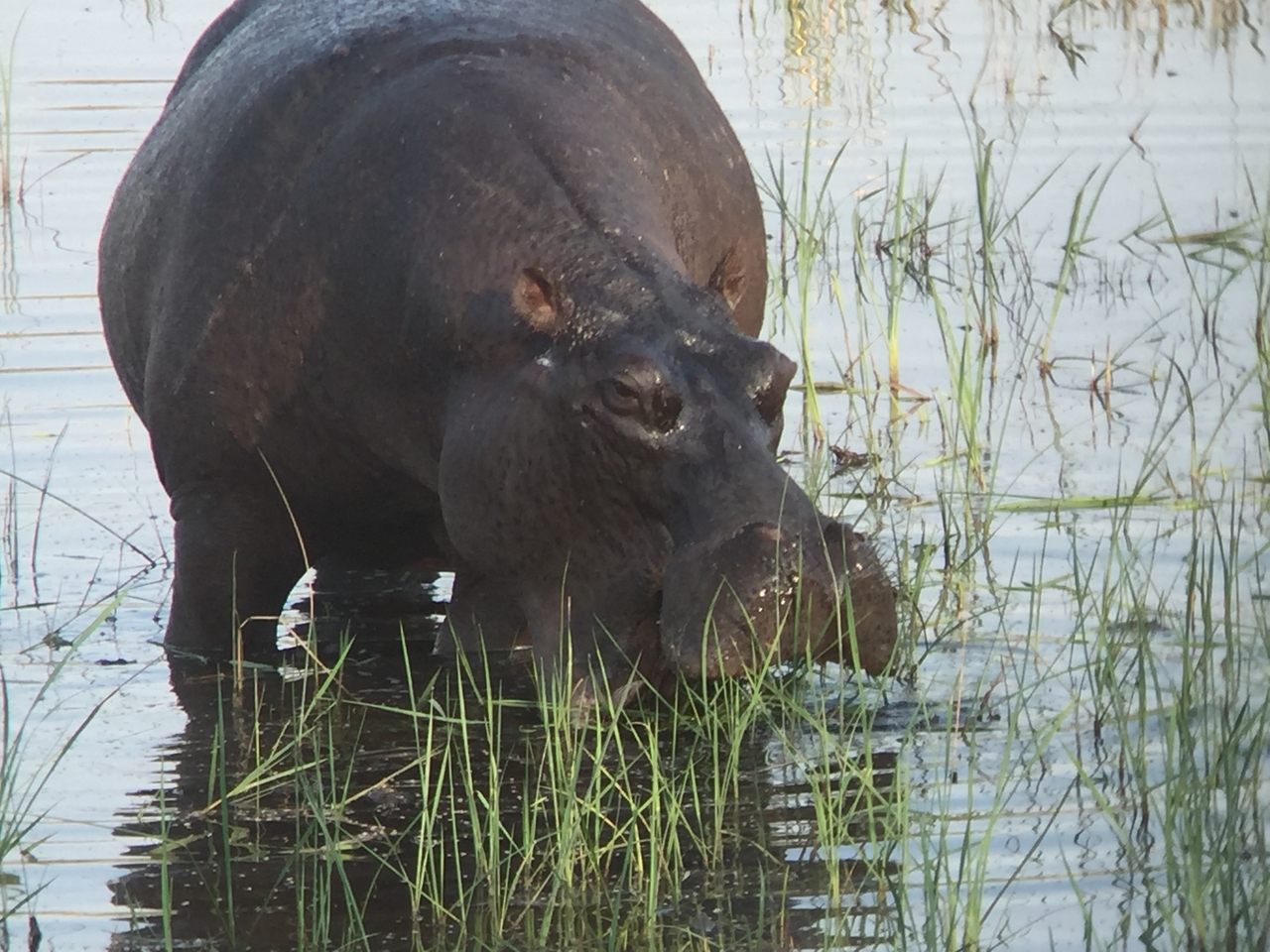 [28018] 2016_07_02_08_45_43_Africa_iPhone_6_IMG_8751_01257.jpg