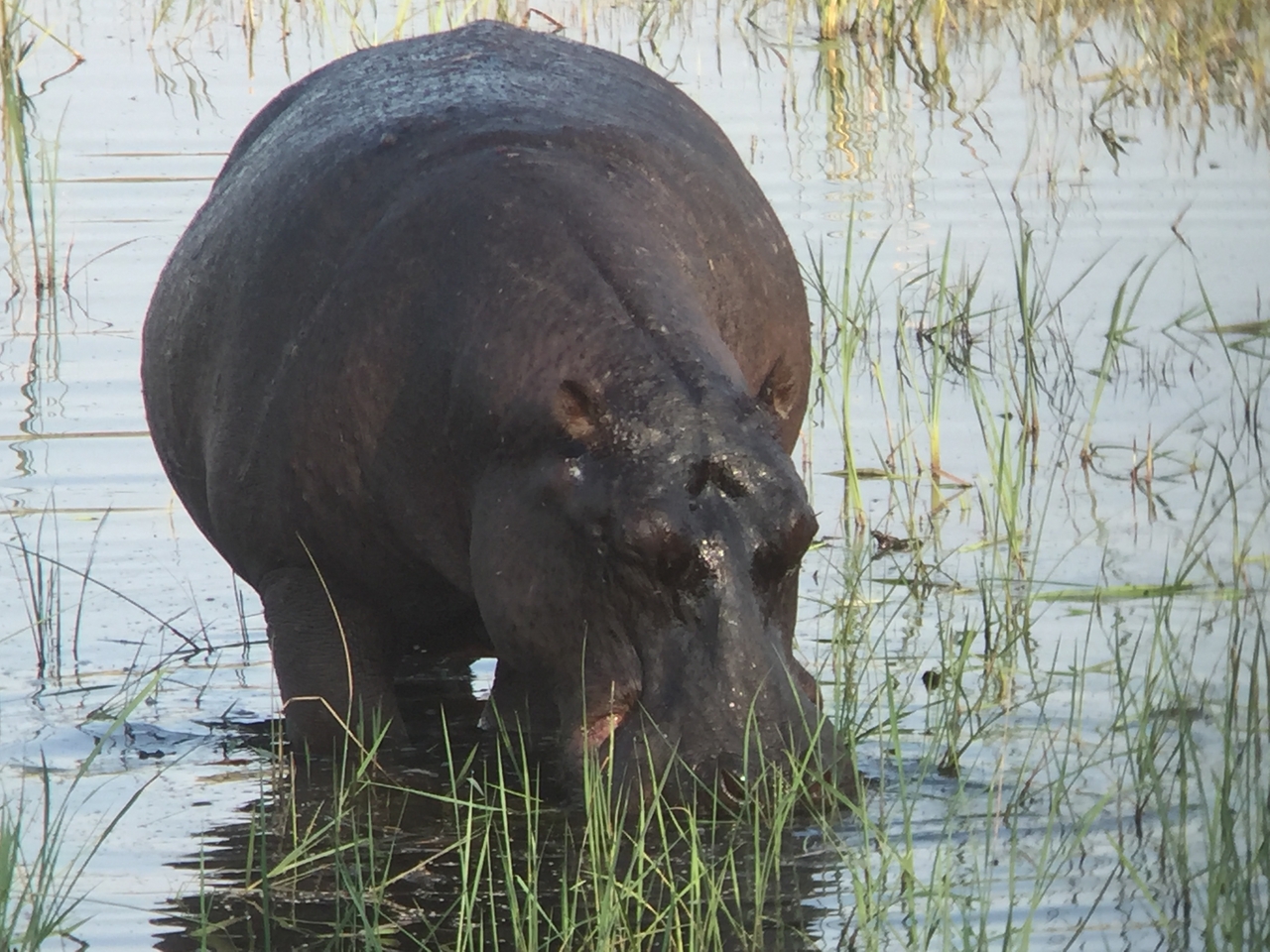 [28022] 2016_07_02_08_45_44_Africa_iPhone_6_IMG_8752_03599.jpg