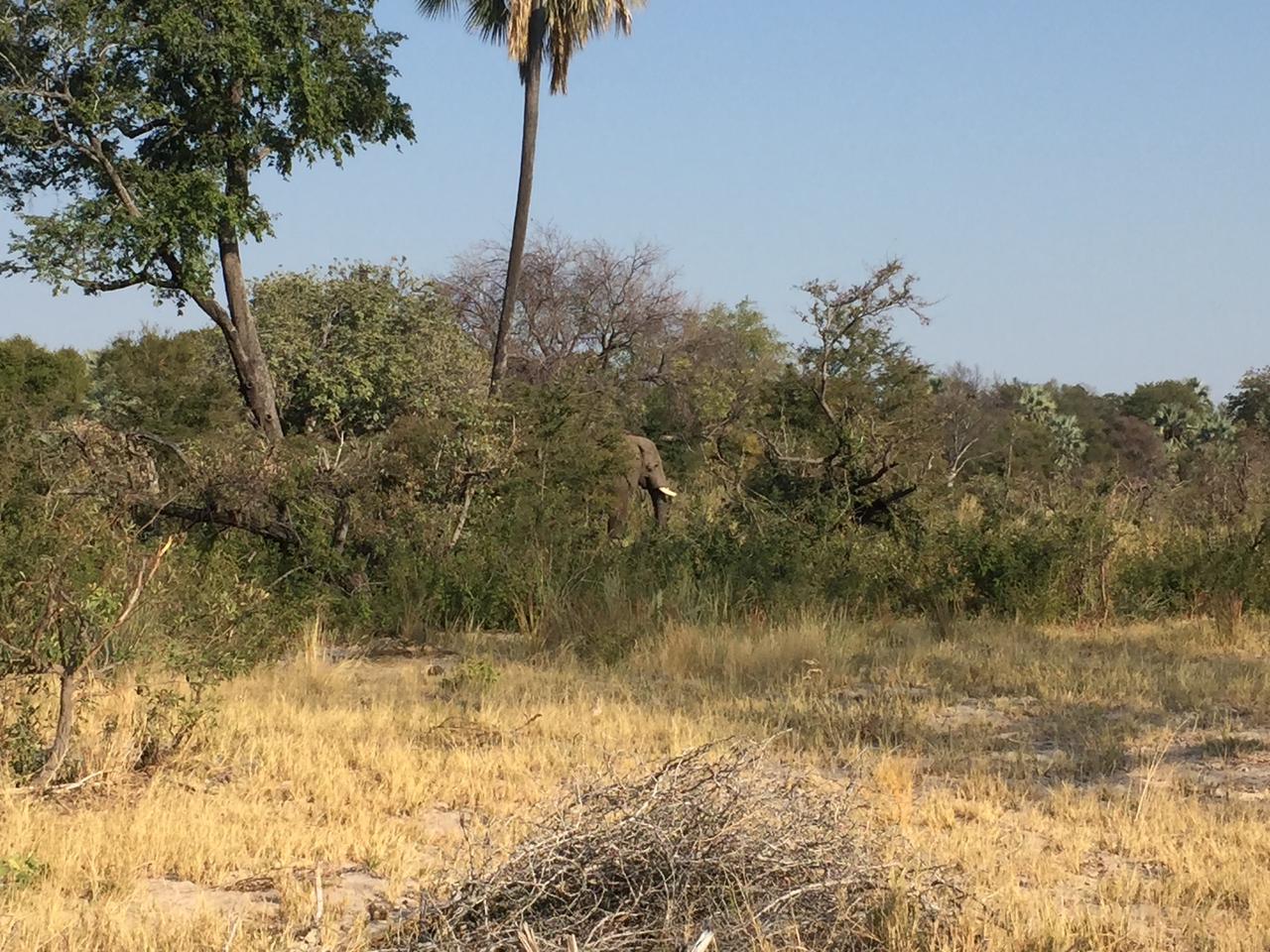 [28029] 2016_07_02_09_17_25_Africa_iPhone_6_IMG_8754_00678.jpg