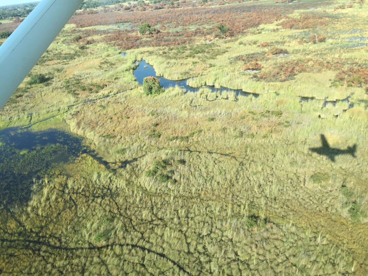 [28072] 2016_07_02_09_25_05_Africa_iPhone_6_IMG_8755_01261.jpg