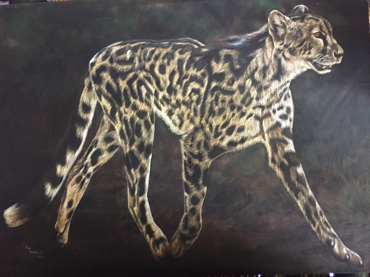 [28743] 2016_07_02_14_20_08_Africa_iPhone_6_IMG_8776_00696.jpg