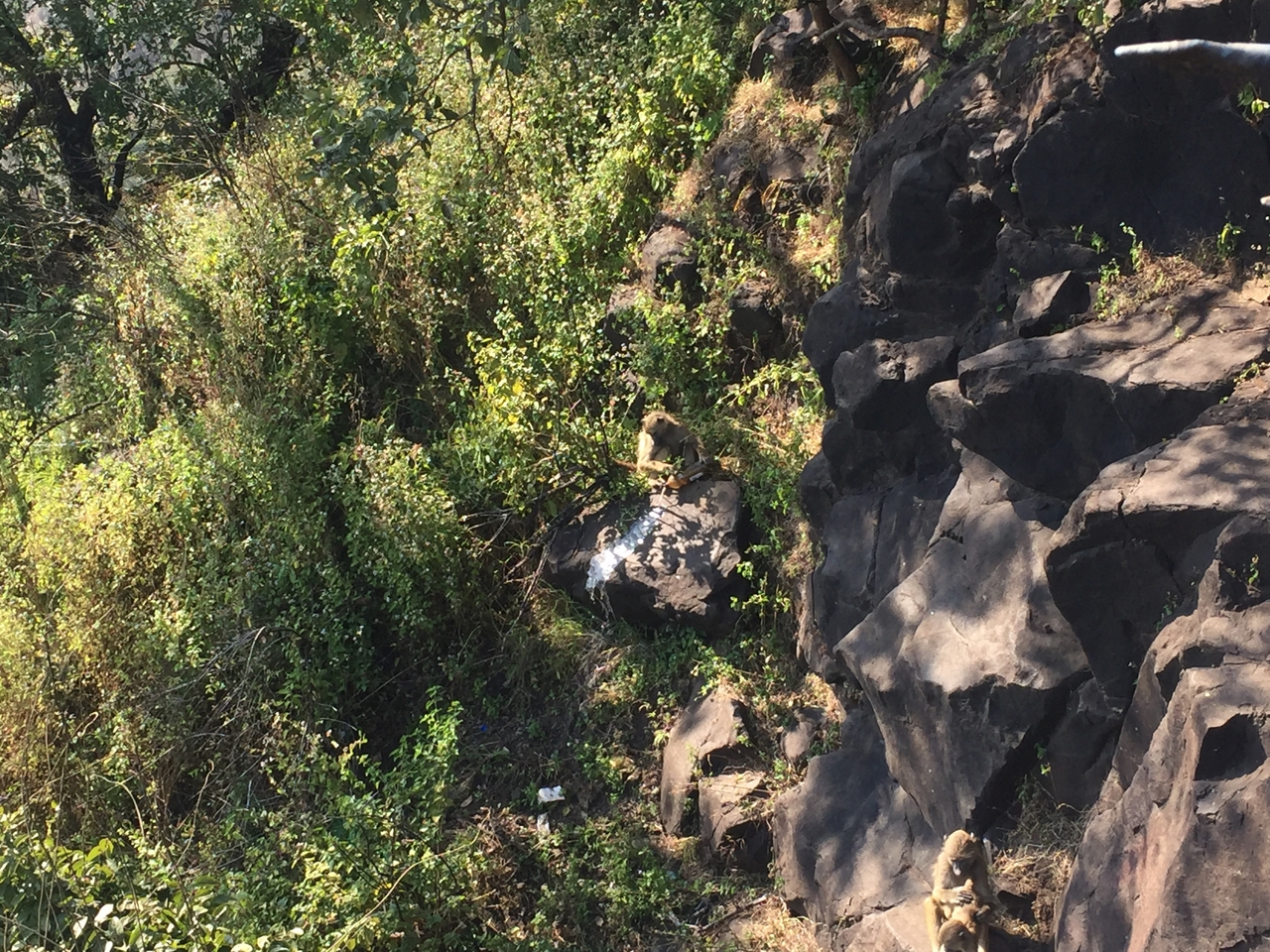 [31918] 2016_07_03_09_51_29_Africa_iPhone_6_IMG_8855_01347.jpg