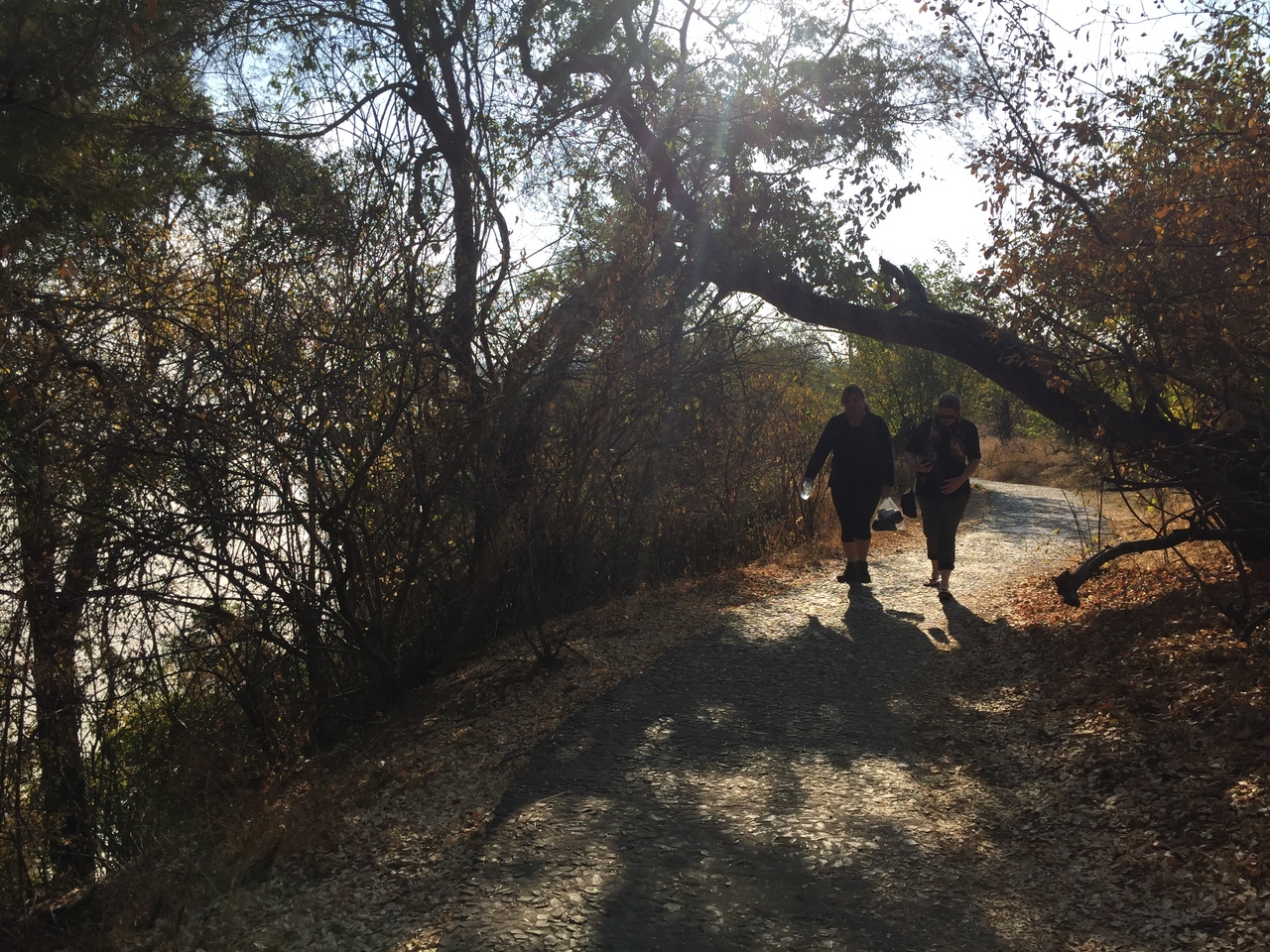 [32672] 2016_07_03_15_58_15_Africa_iPhone_6_IMG_8935_01407.jpg