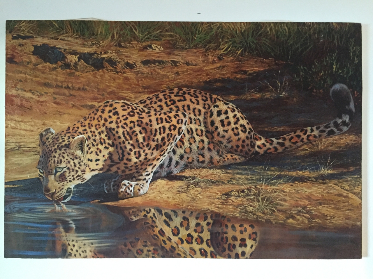 [32693] 2016_07_03_16_52_12_Africa_iPhone_6_IMG_8941_03754.jpg