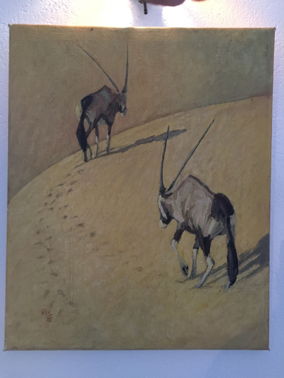 [32701] 2016_07_03_16_54_28_Africa_iPhone_6_IMG_8944_01416.jpg