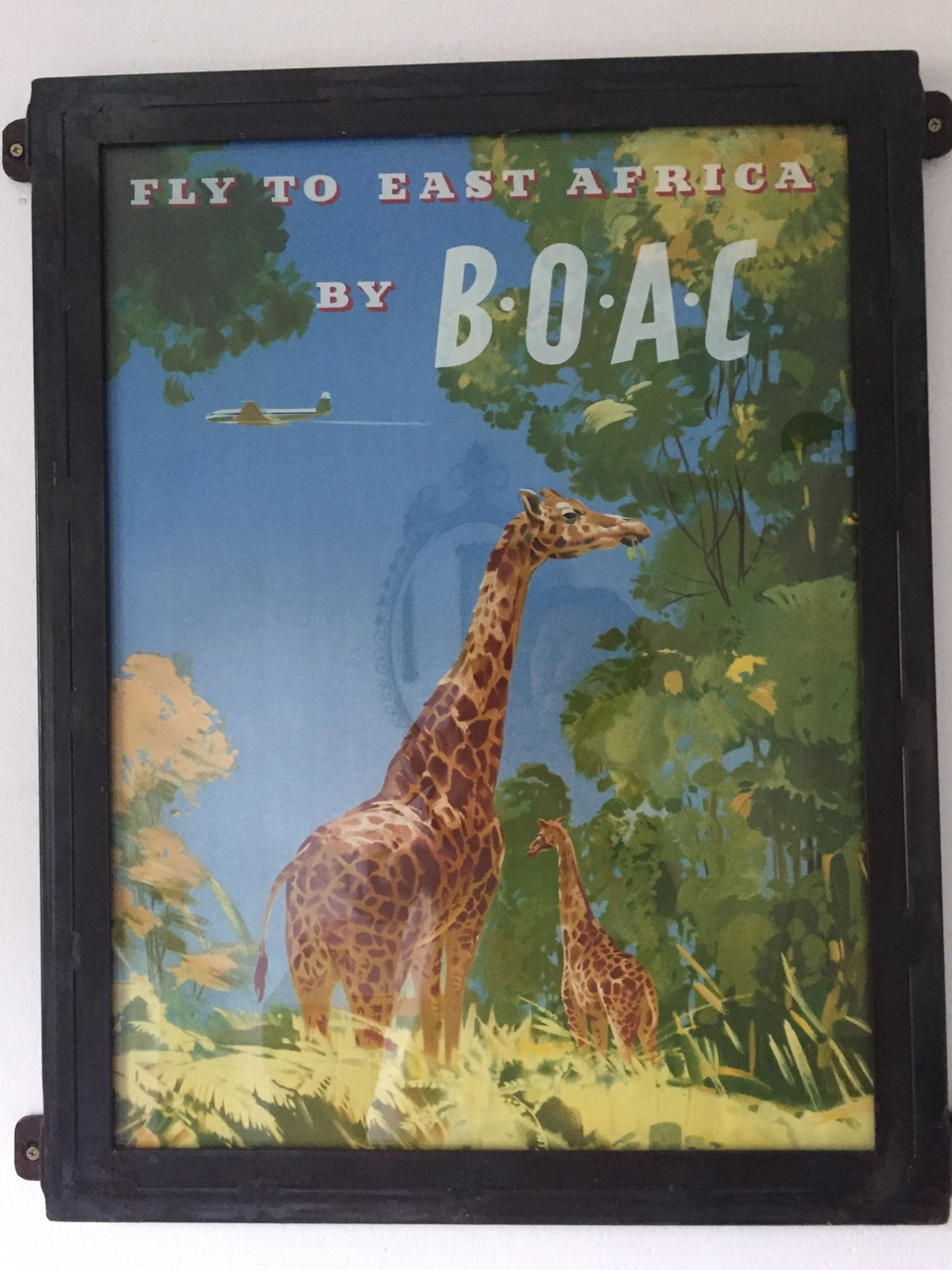 [32712] 2016_07_03_17_04_51_Africa_iPhone_6_IMG_8946_00836.jpg