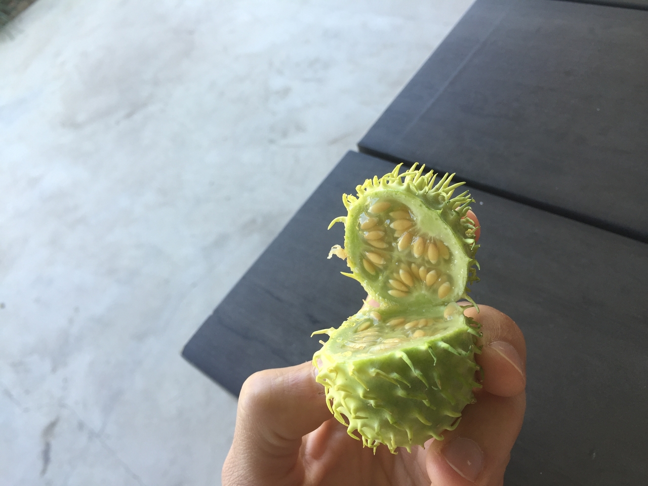 [34289] 2016_07_04_13_32_43_Africa_iPhone_6_IMG_8981_01445.jpg