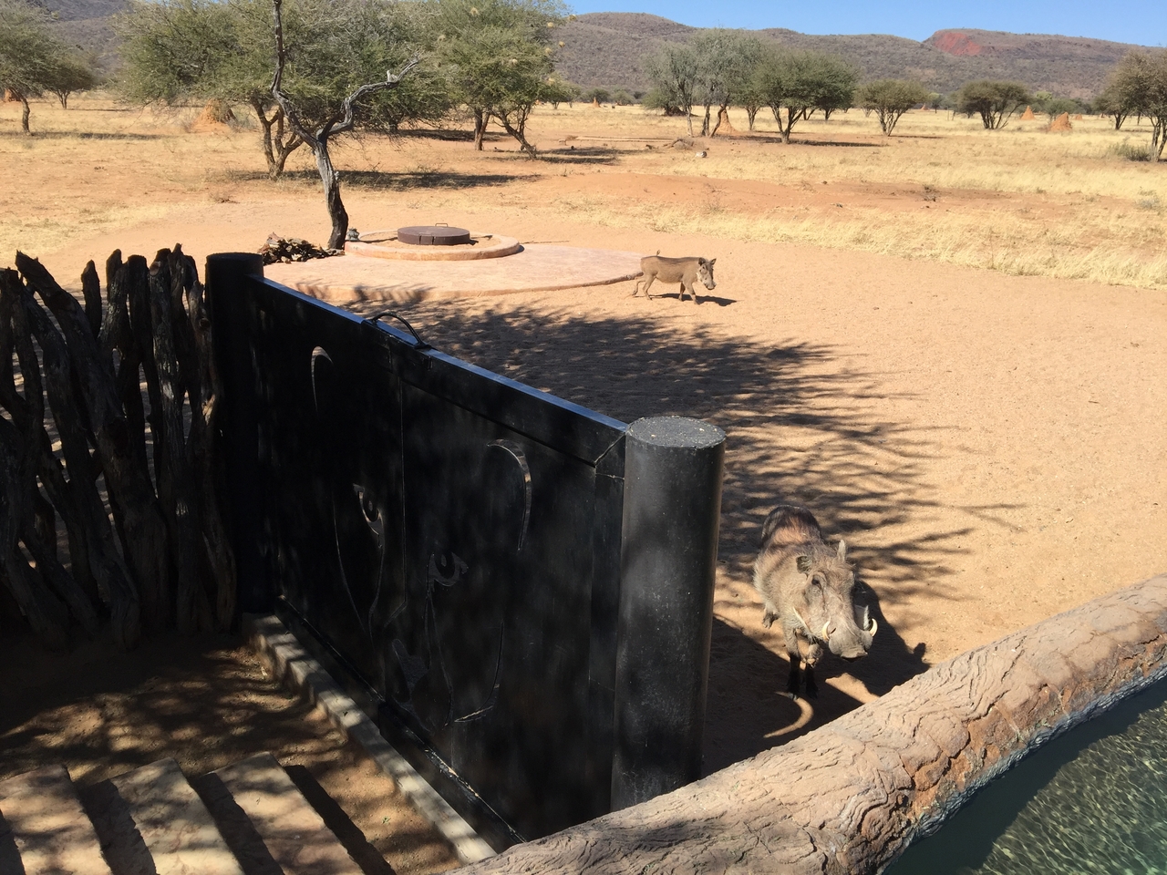 [2557] 2016_06_22_10_54_00_Africa_iPhone_6_Plus_IMG_3420_06694.jpg