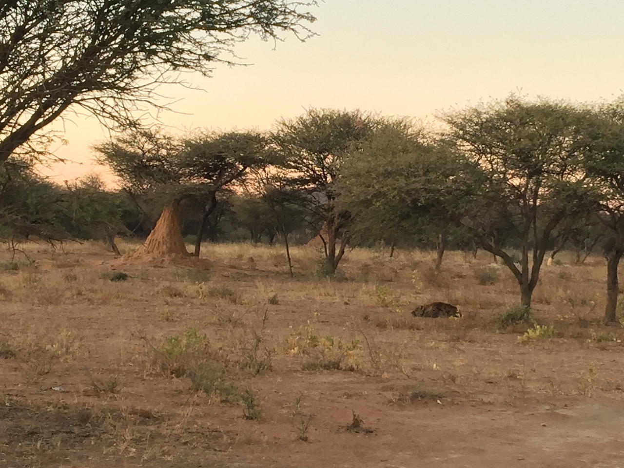 [3685] 2016_06_22_17_17_33_Africa_iPhone_6_Plus_IMG_3489_06740.jpg