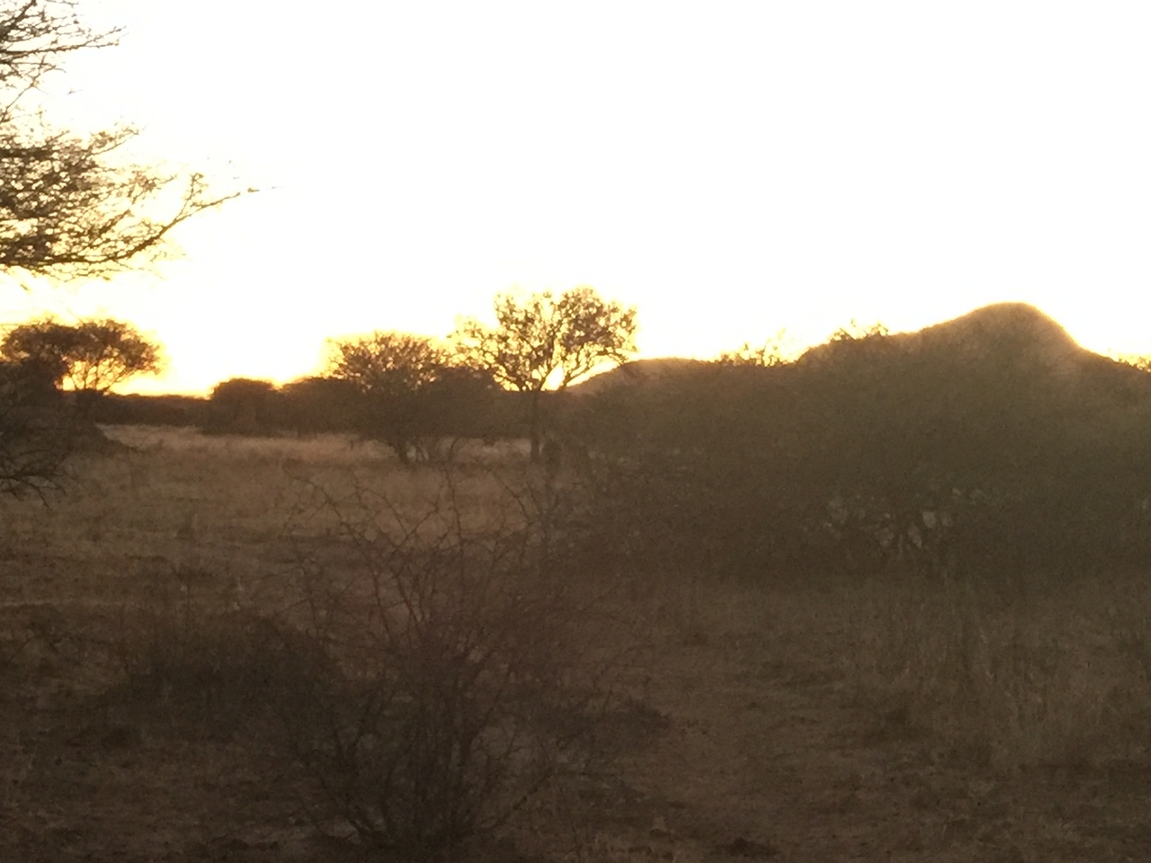 [9564] 2016_06_23_17_45_05_Africa_iPhone_6_Plus_IMG_3550_06776.jpg