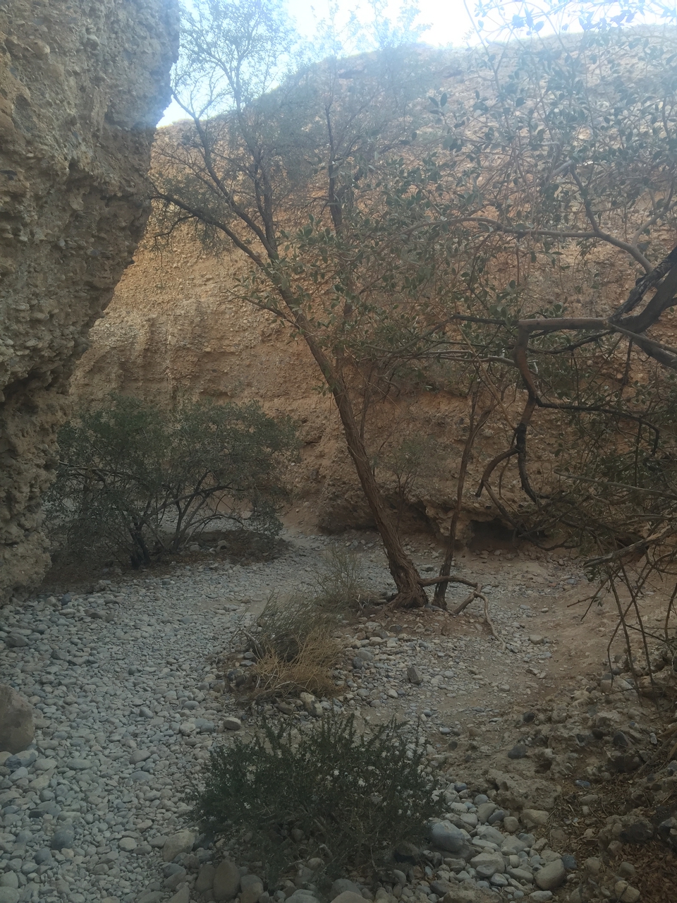 [14144] 2016_06_24_16_36_18_Africa_iPhone_6_Plus_IMG_3606_06816.jpg